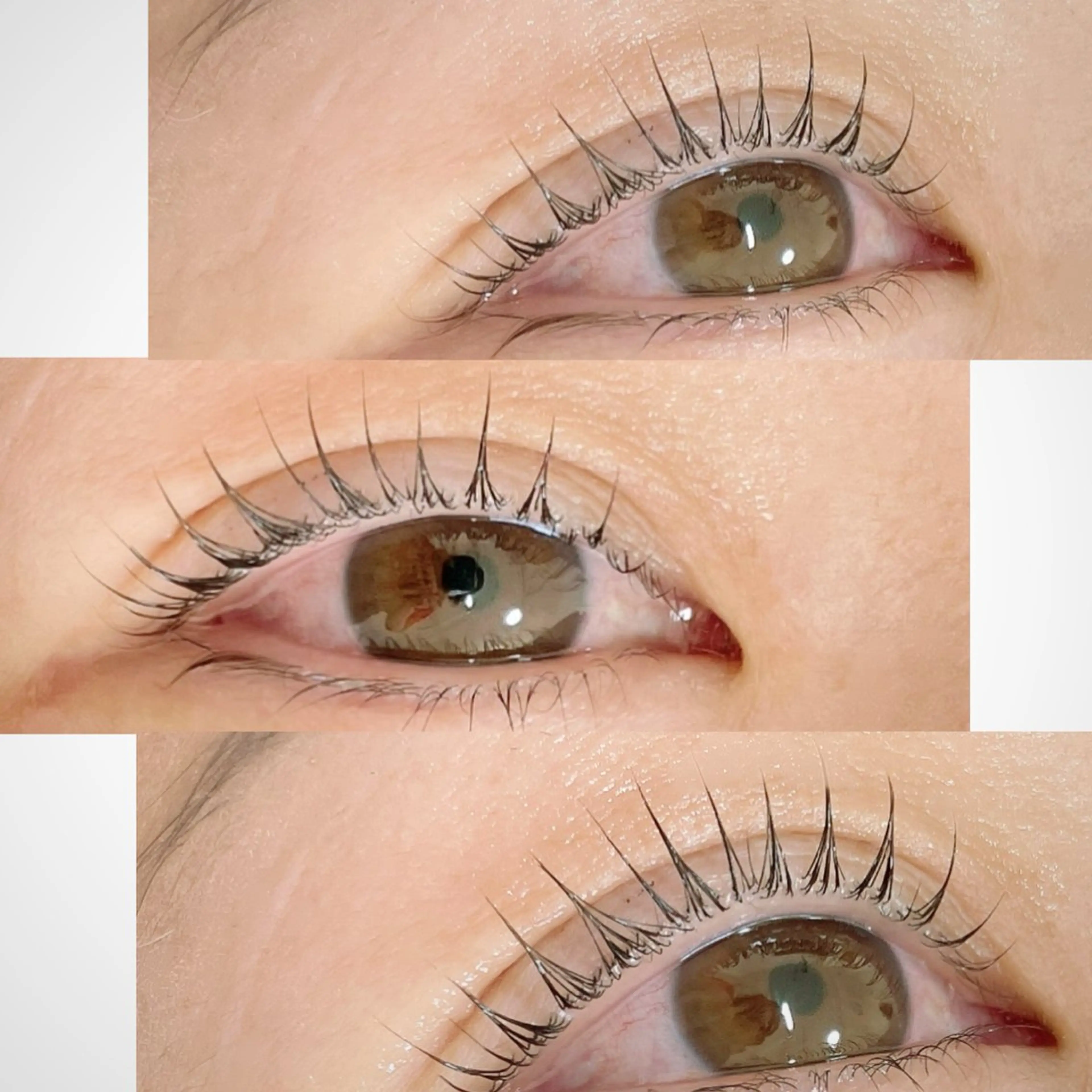 マツエク・マツパ マツパ ∞favo∞ eyelash🏝️のマツエク・マツパデザイン