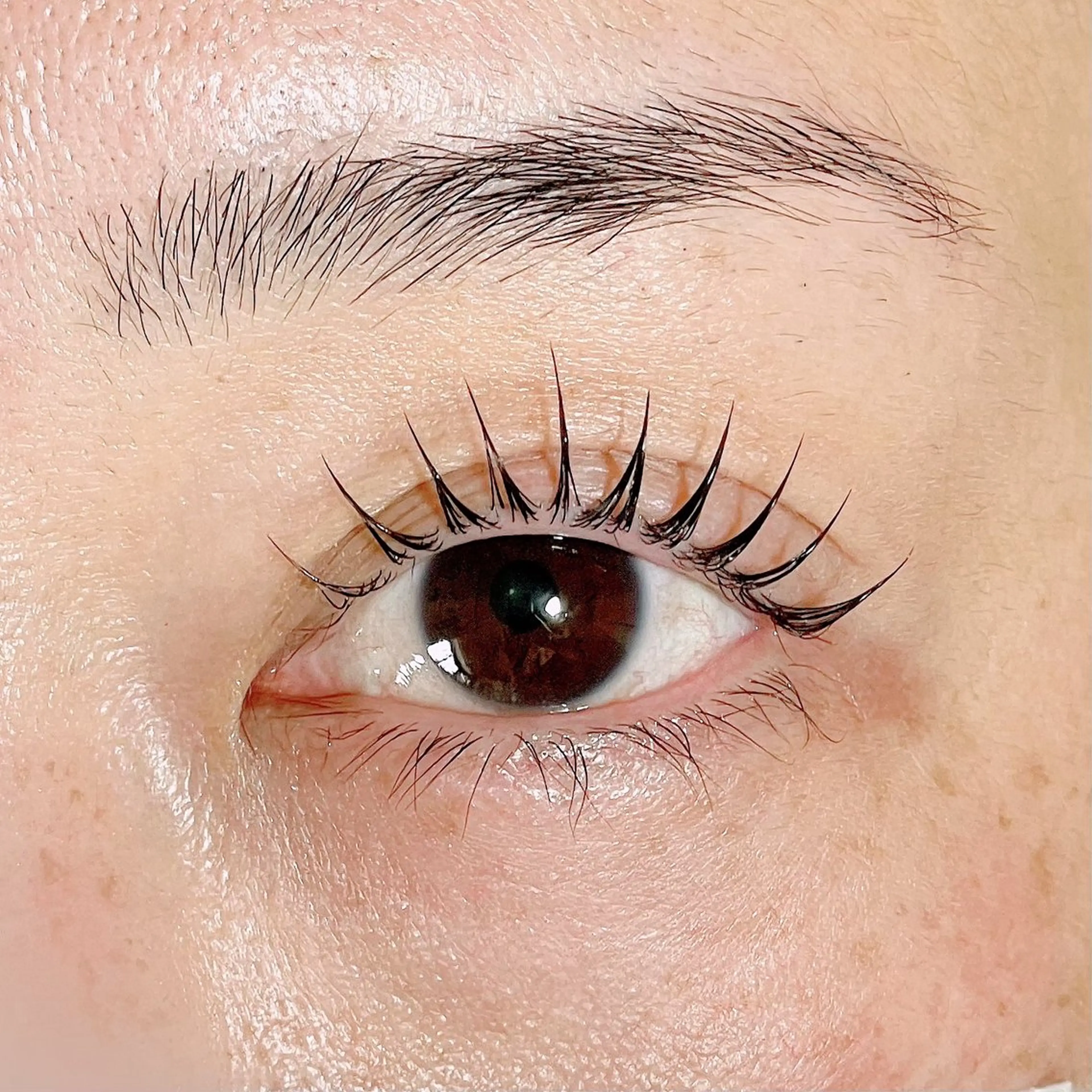 マツエク・マツパ マツパ spica🌛 .のマツエク・マツパデザイン