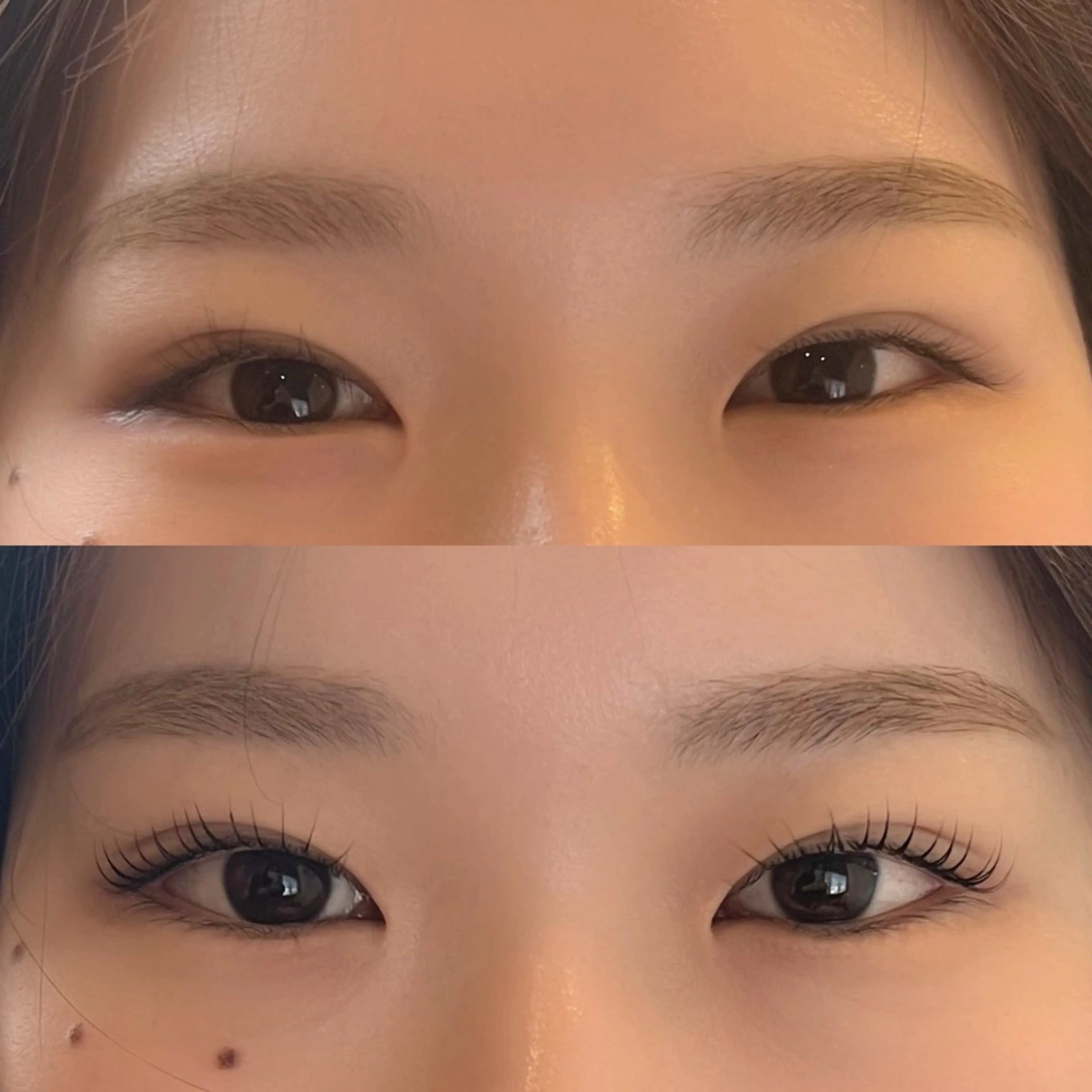 【モデル募集】上ラッシュリフト (コーティング付き☆）の写真