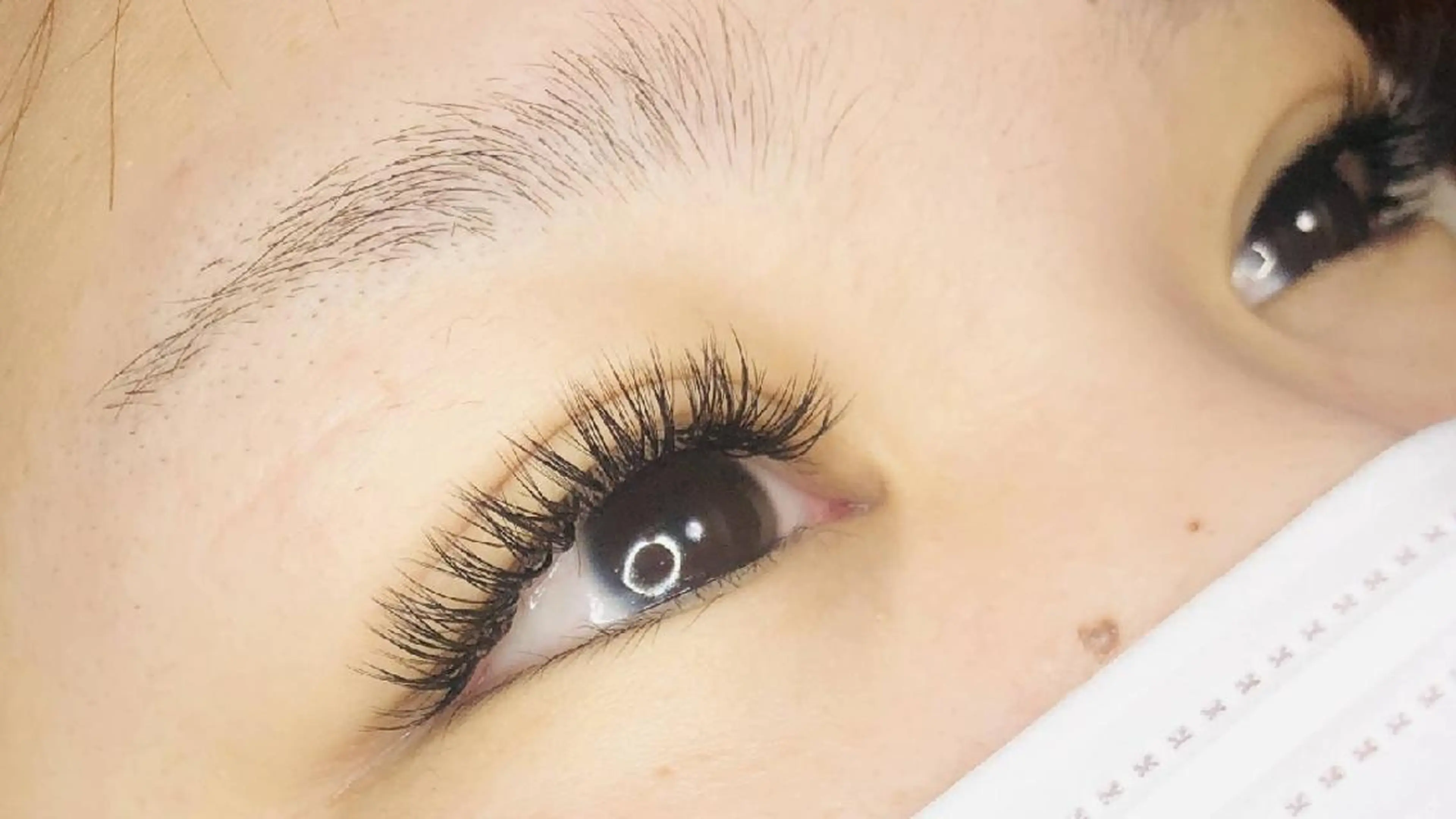 高持続バインドロック100束の写真