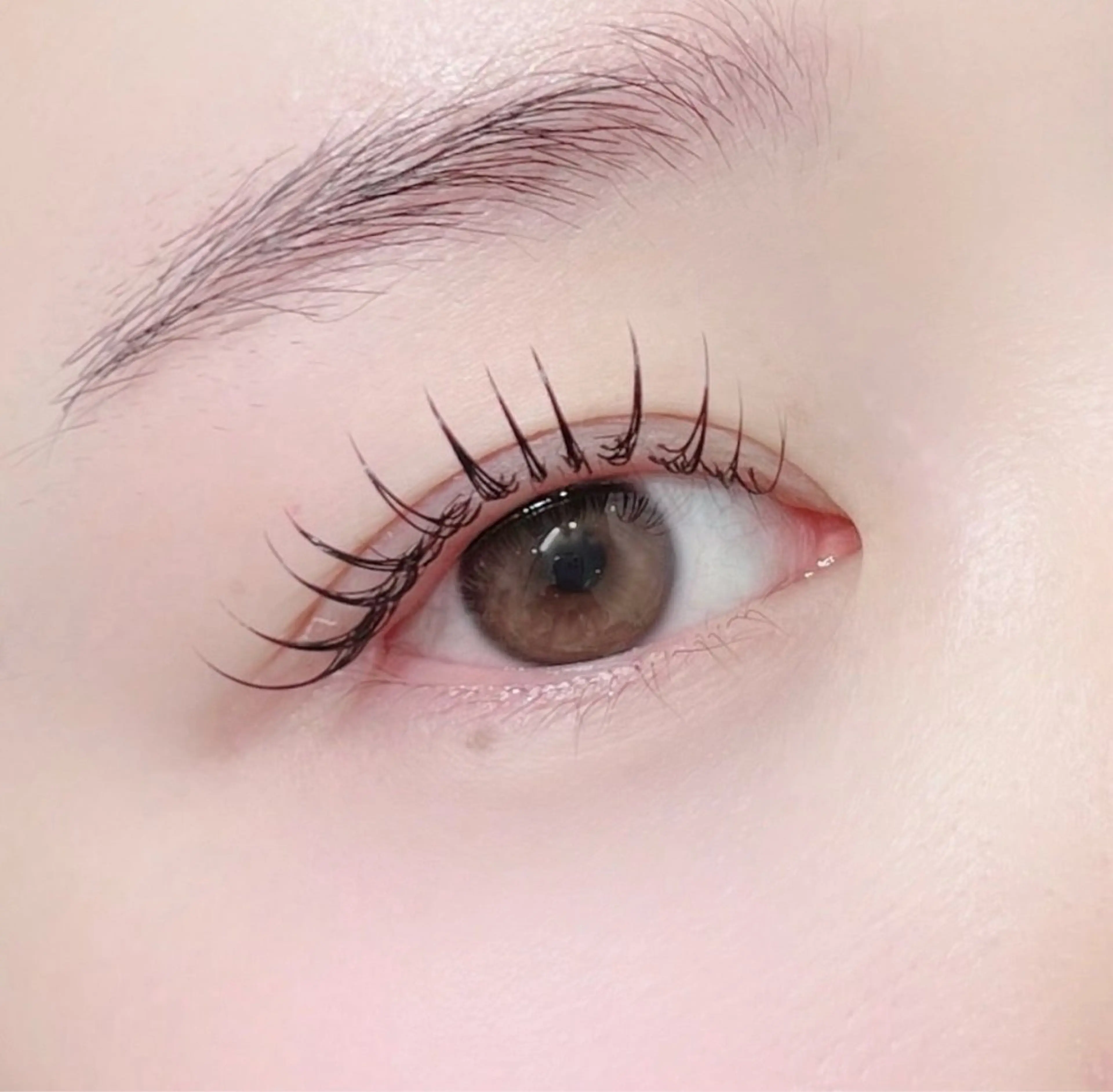 マツエク・マツパ miiia lash＊yuiのマツエク・マツパデザイン