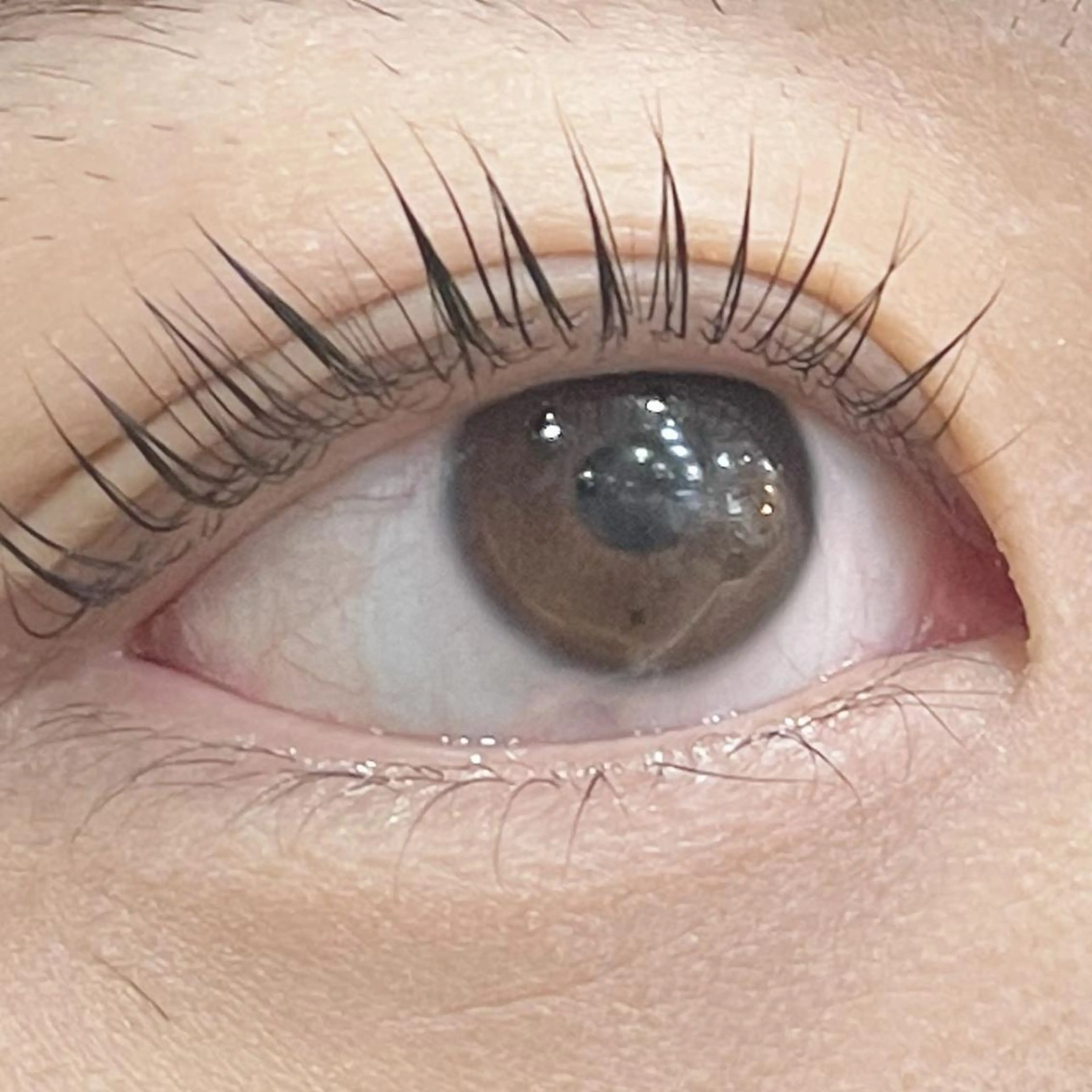 ショート カラー パーマ ヘアアレンジ メンズ キッズ ネイル マツエク・マツパ メンズハイライト メンズインナーカラー メンズパーマ アクアカラー ベージュカラー Saffyハリウッド トリートメント◎のヘアスタイル