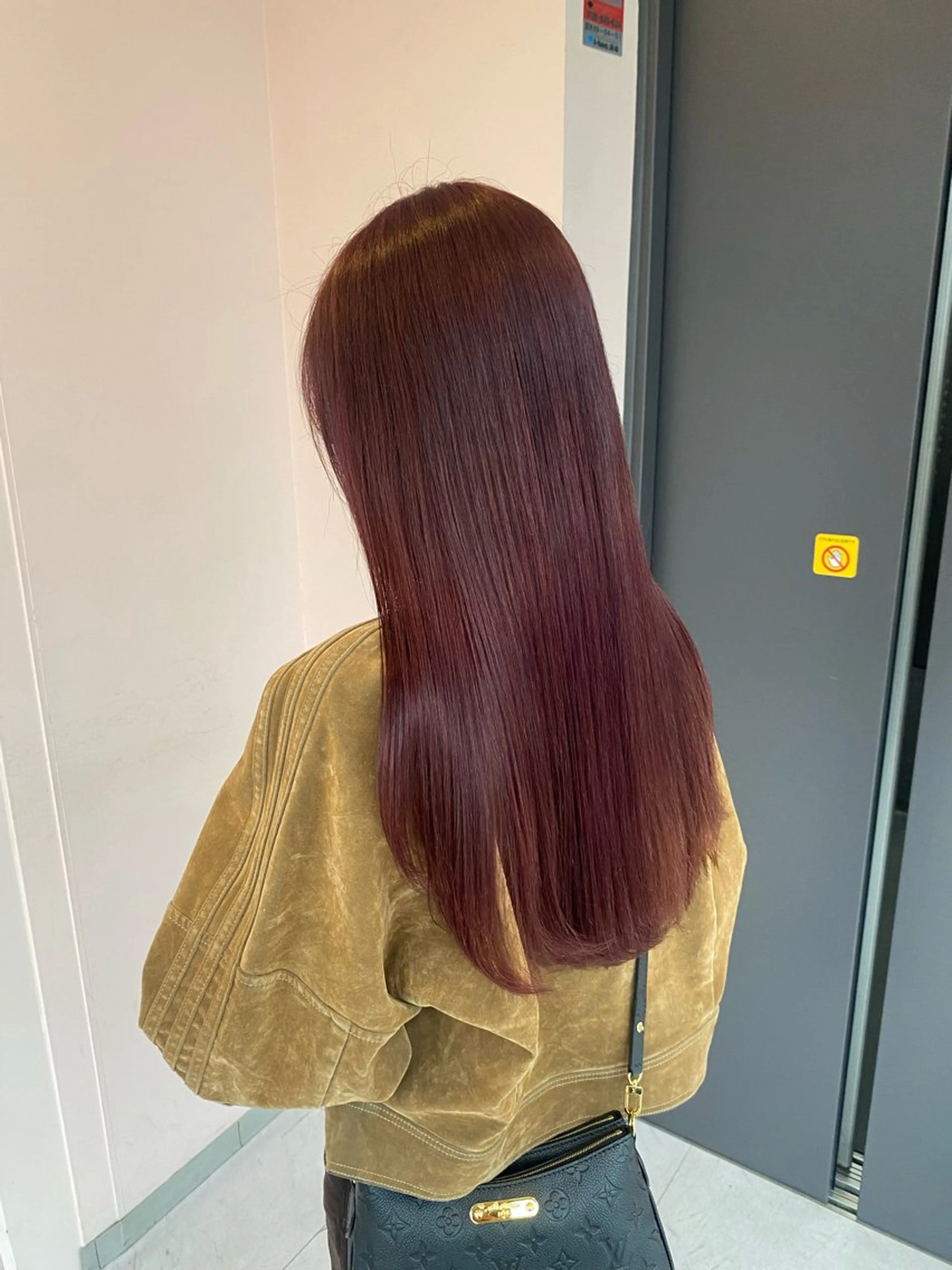 カラー ブリーチ ダブルカラー ブリーチなしカラー レッドカラー 楓🦋韓国系レイヤー / 透明感カラー🤍のヘアスタイル