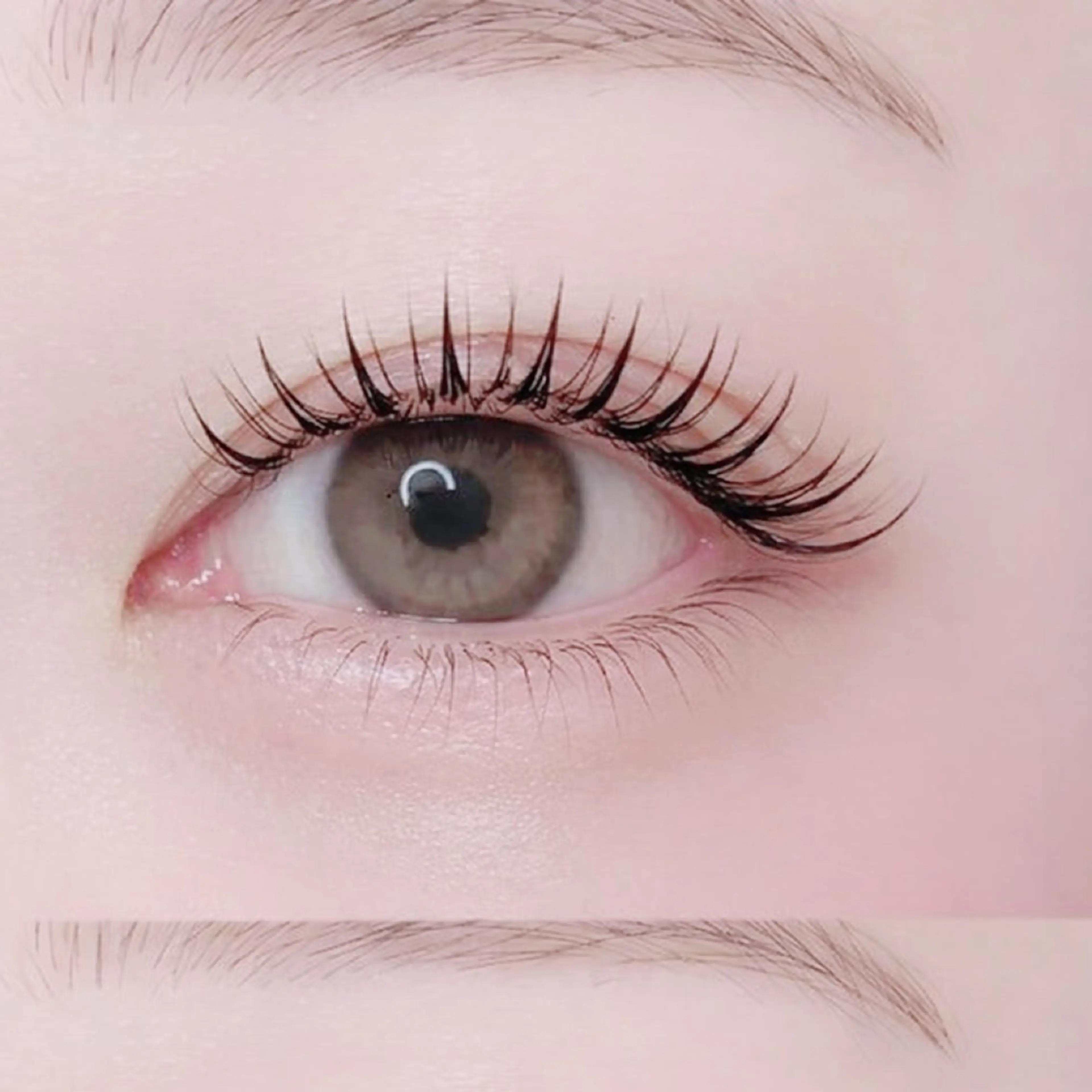 🌼パリジェンヌor似合わせまつ毛パーマ 韓国束感 アイシャンプー➕トリートメント付き🌼の写真