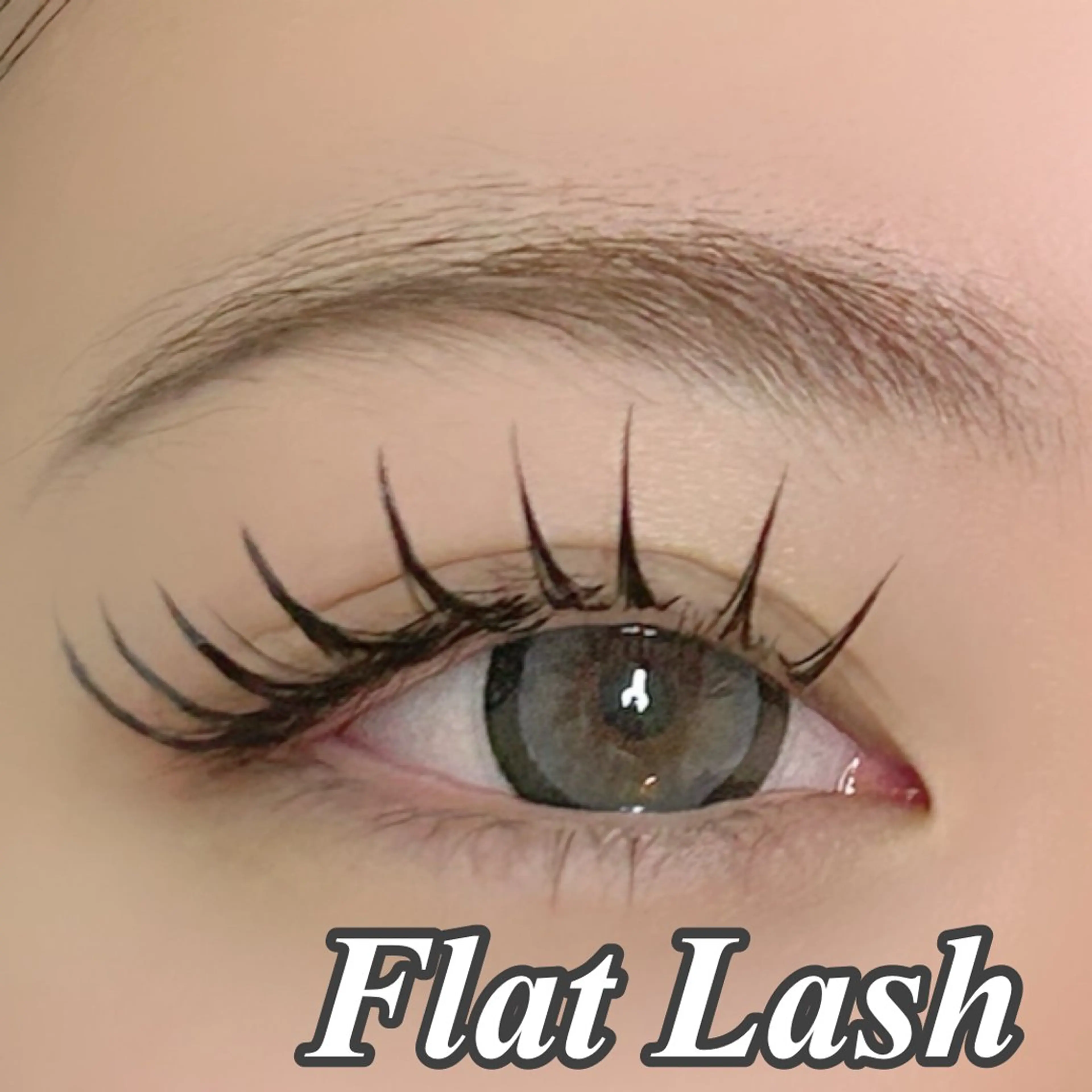 マツエク・マツパ ナチュラル Luana所属・Luana🩵 REIKAのマツエク・マツパデザイン