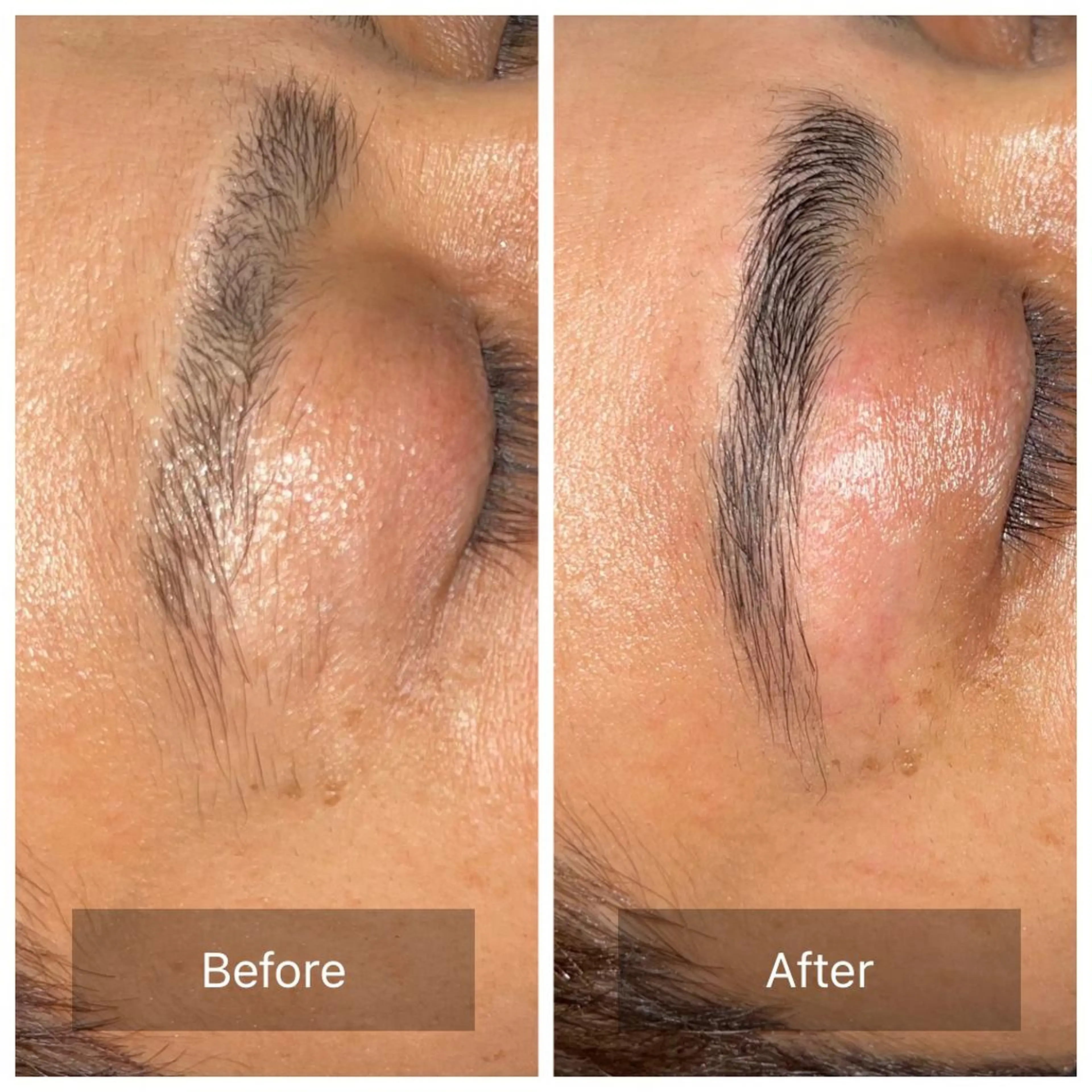 萩原 一樹の眉毛・アイブロウイメージ