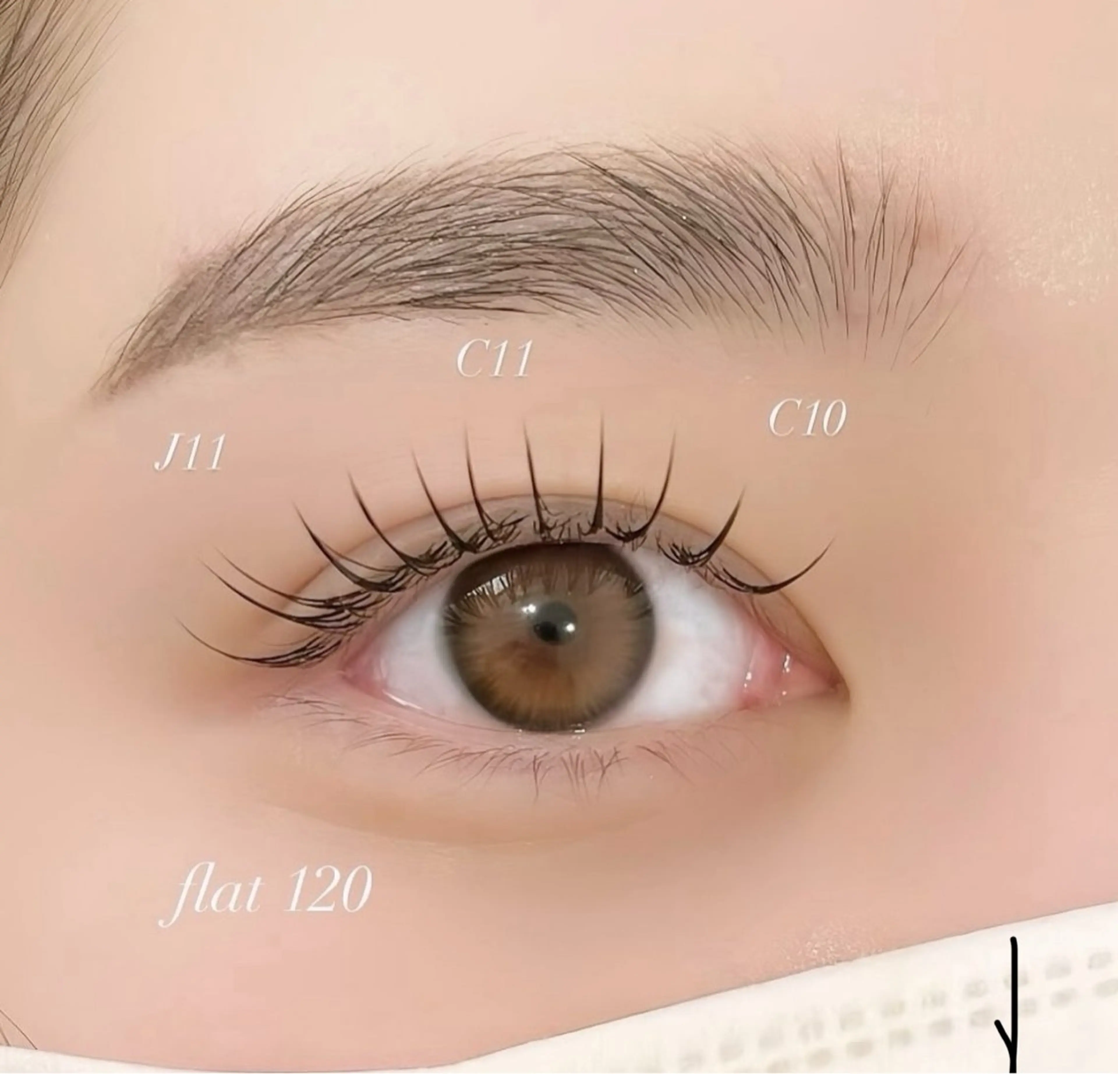 フラットラッシュ120本までの写真