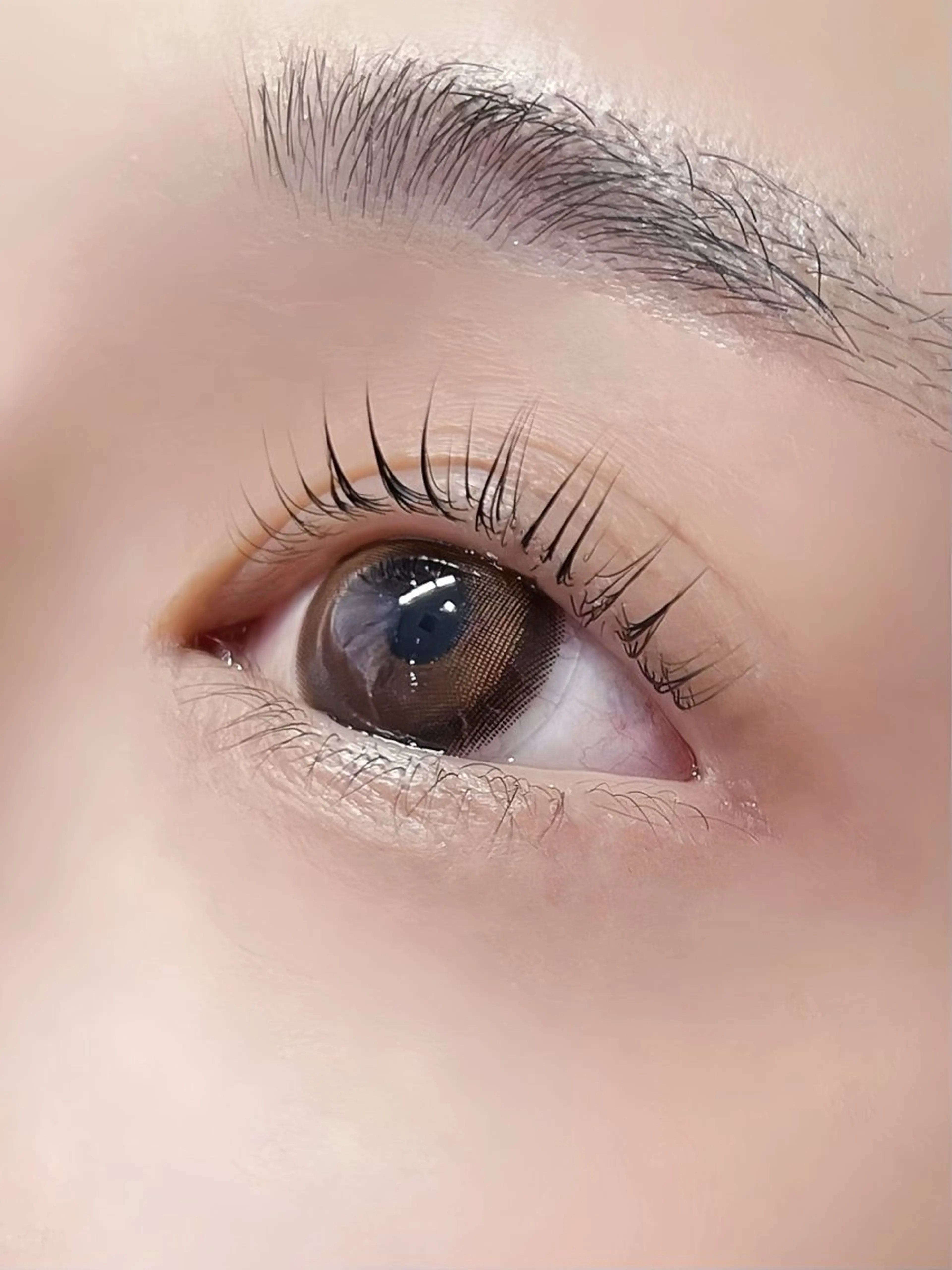 マツエク・マツパ パリジェンヌラッシュリフト マツパ Lily｜ rimiのマツエク・マツパデザイン