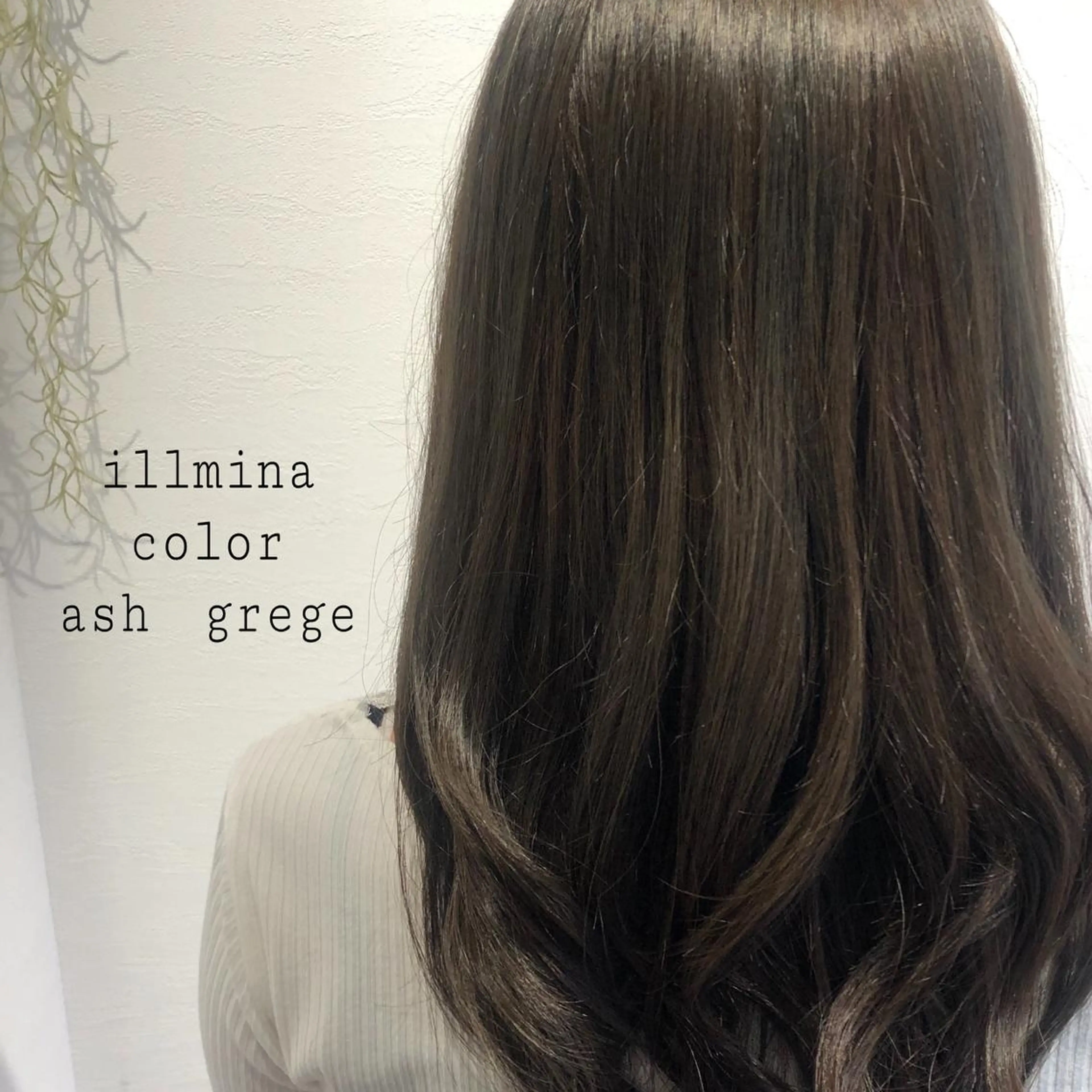 ロング アッシュ アッシュグレー アッシュグレージュ ヘアカラー 似合わせカラー✨人気 荻窪🌈川端風子のヘアスタイル