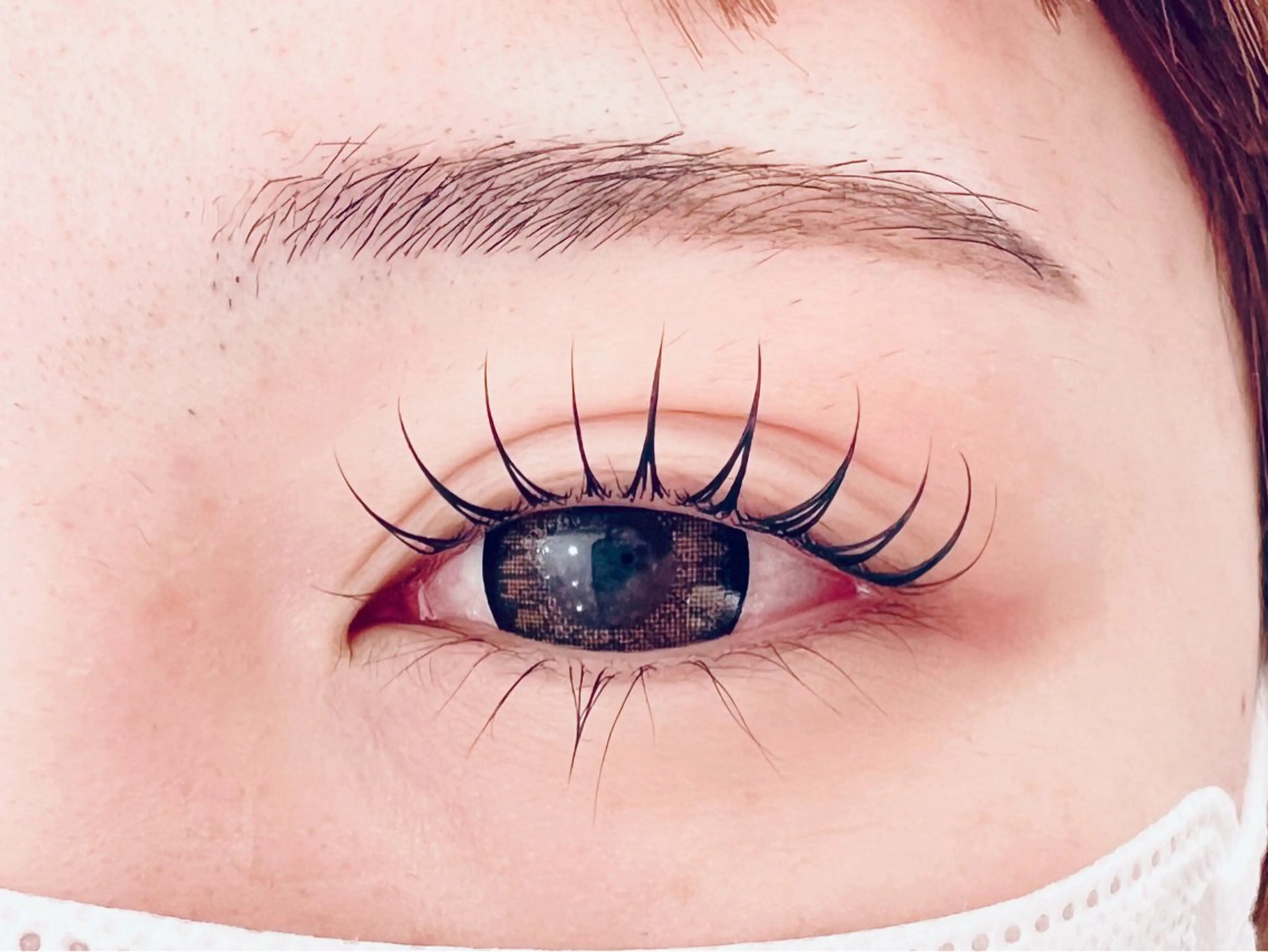 次世代まつ毛パーマ(ケアなし)の写真