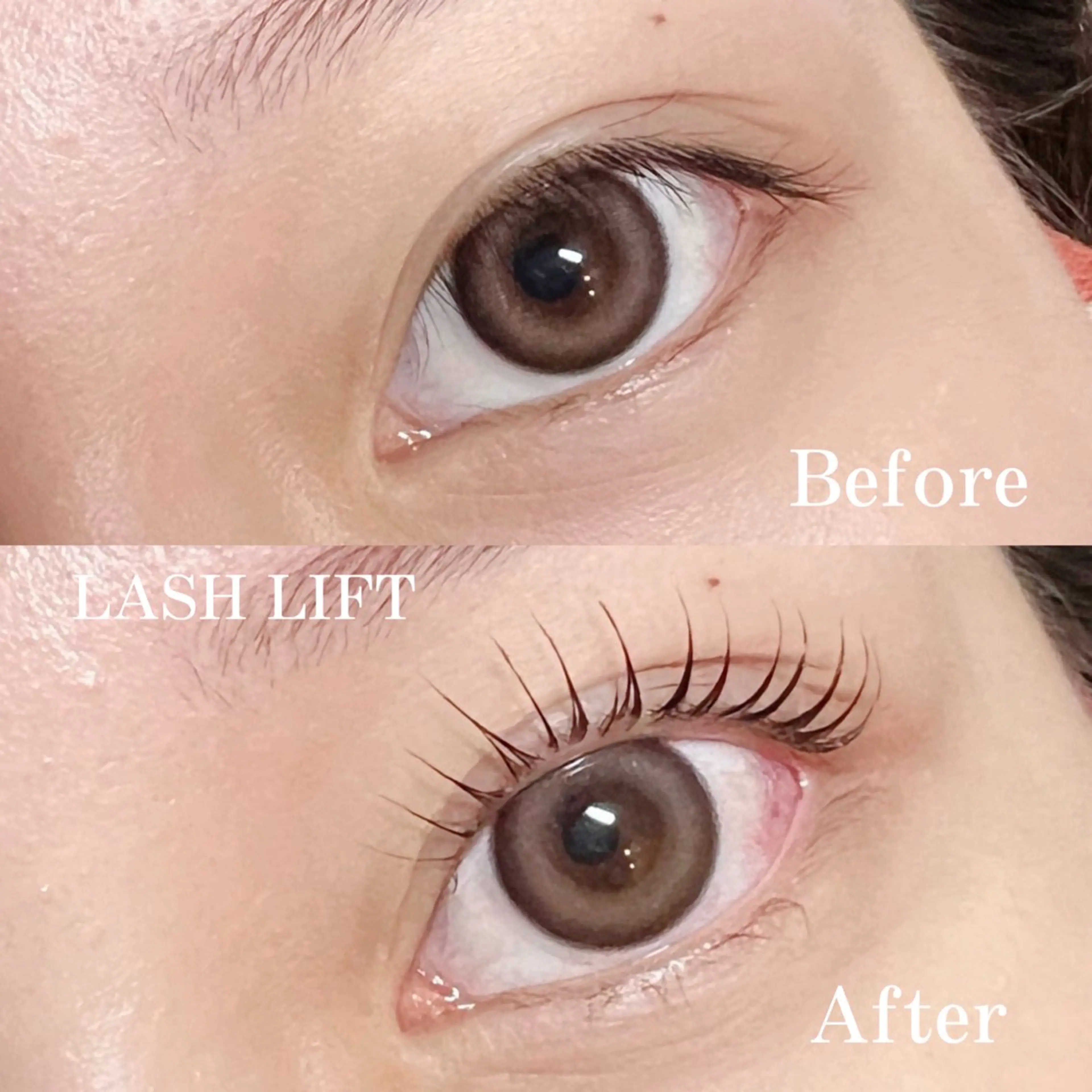 🤍 まつ毛パーマ（コーティング付き）の写真