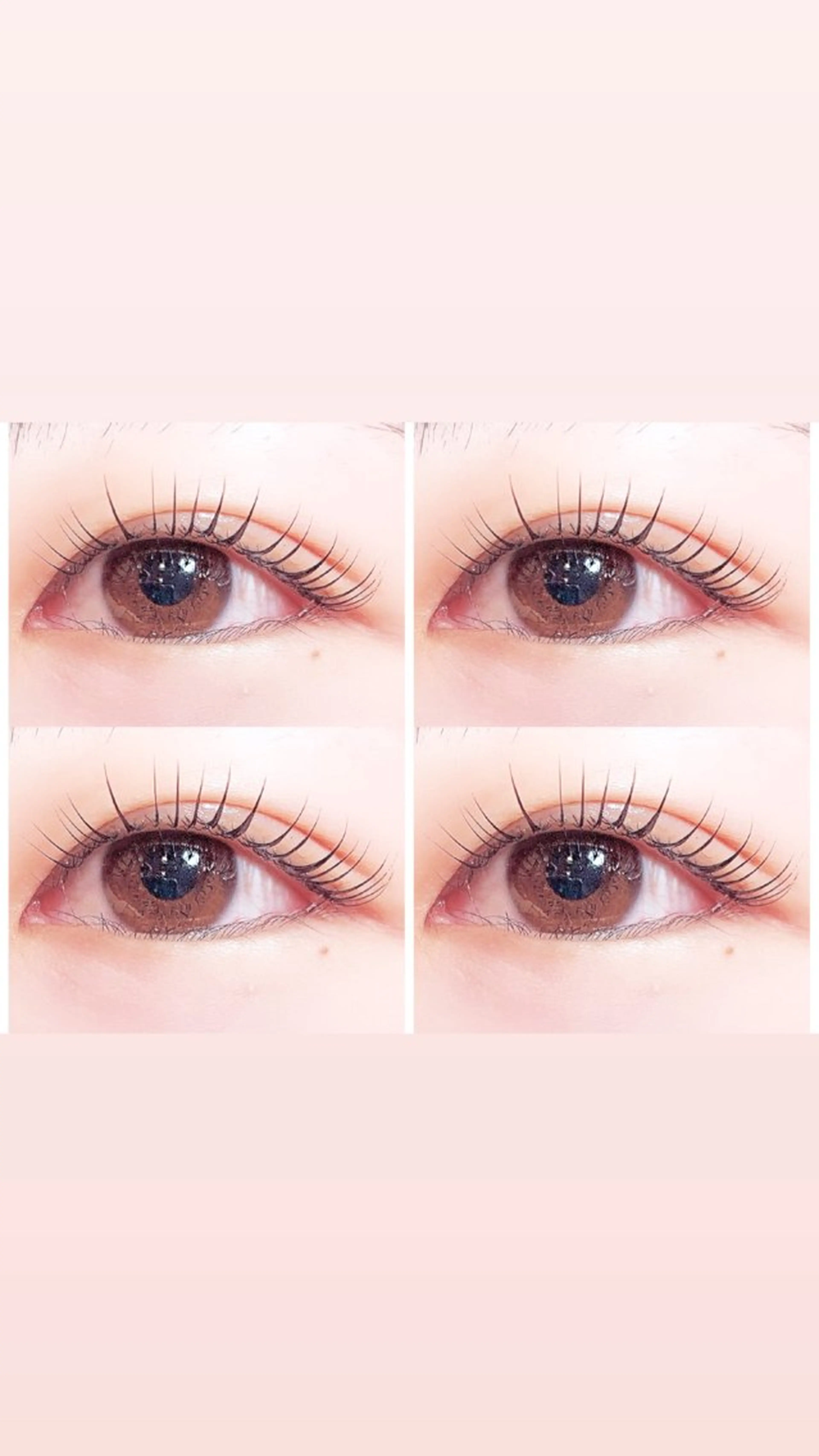 マツエク・マツパ eyelash . noxのマツエク・マツパデザイン