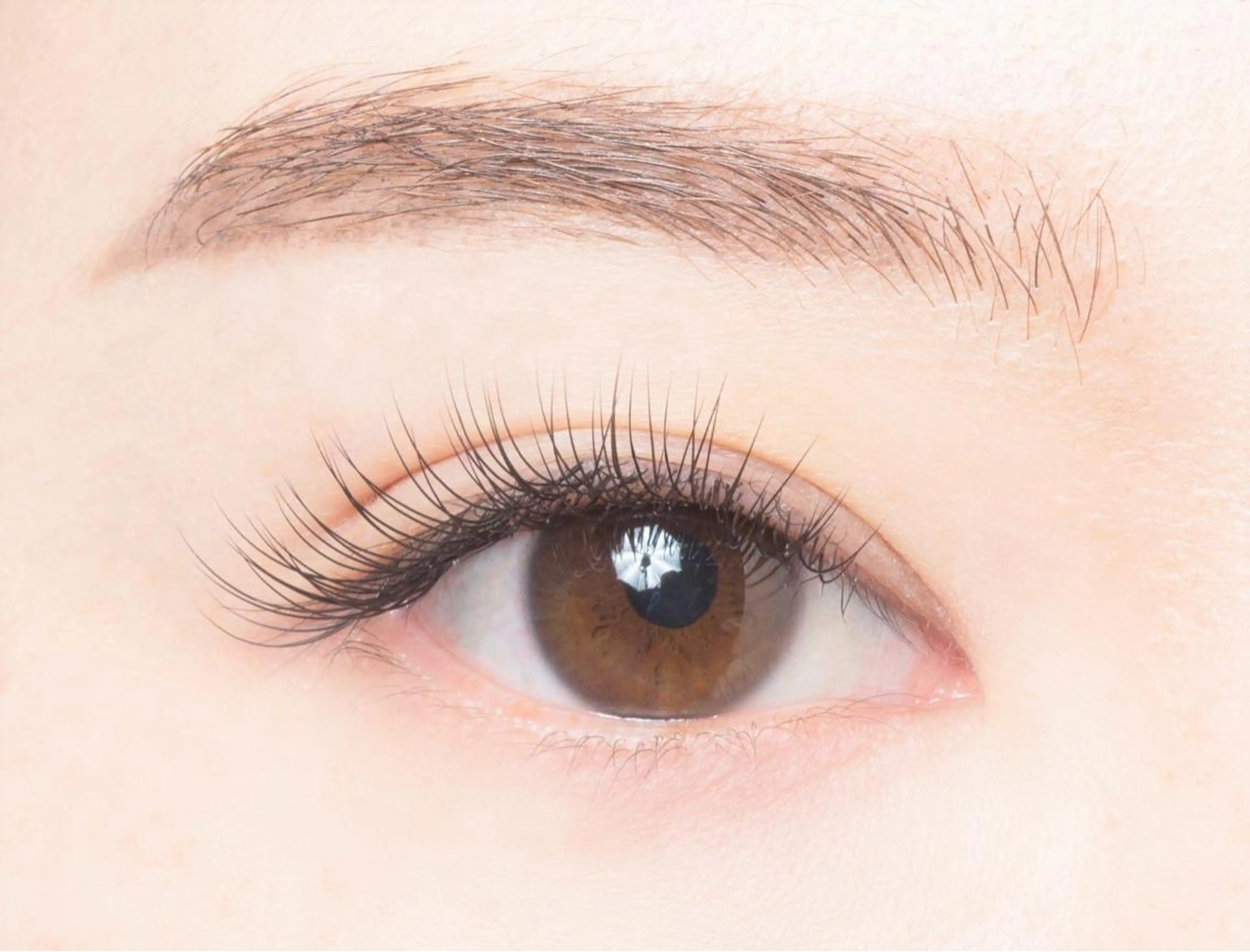 🔷オフありの方専用🔷　　　　　　　　　フラットラッシュ 100本 🎀オフ無料(アイシャンプー付き)の写真