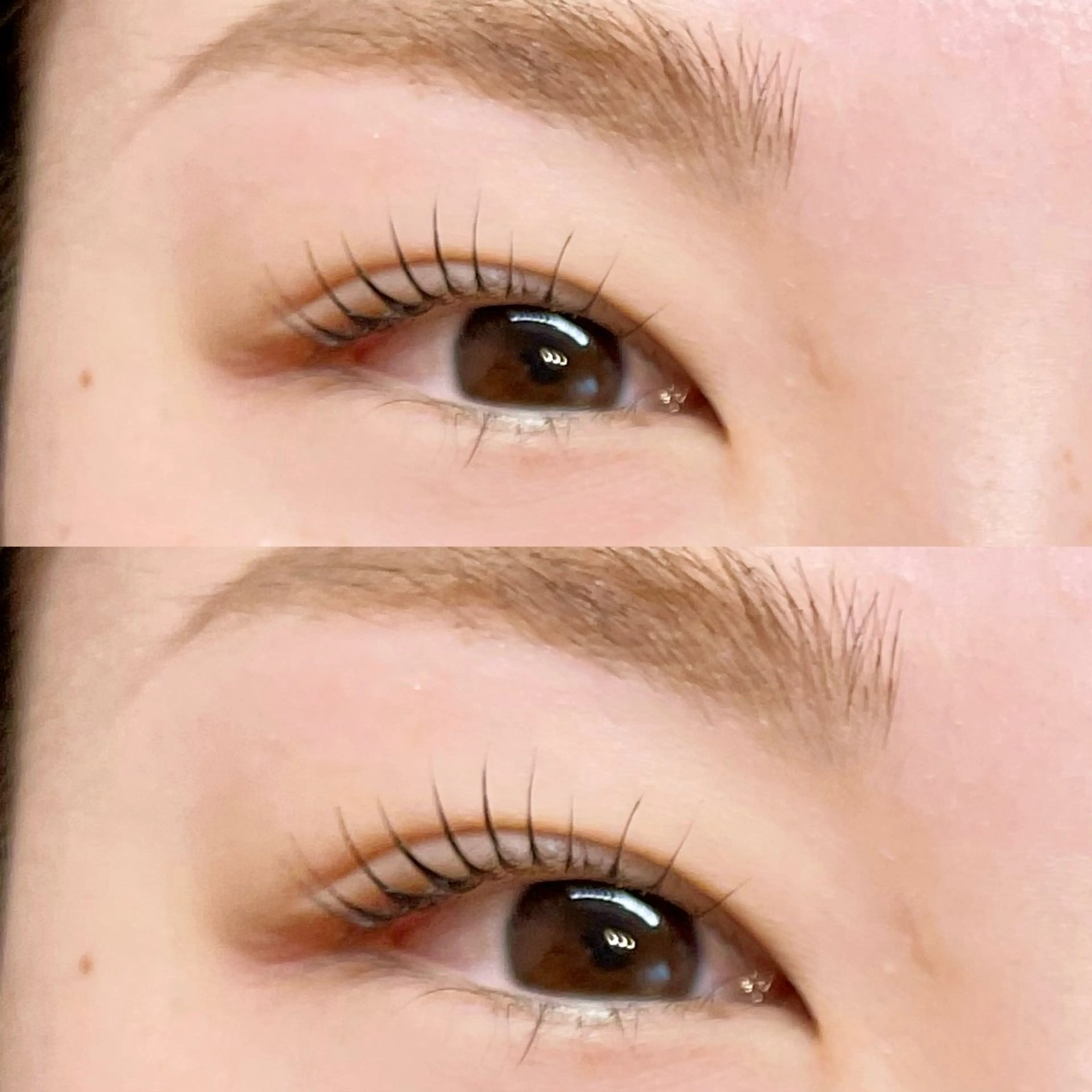 マツエク・マツパ まつげパーマ ワックス脱毛 眉カット その他(アイブロウ) 新小岩まつ毛眉毛 BelkaLashのマツエク・マツパデザイン