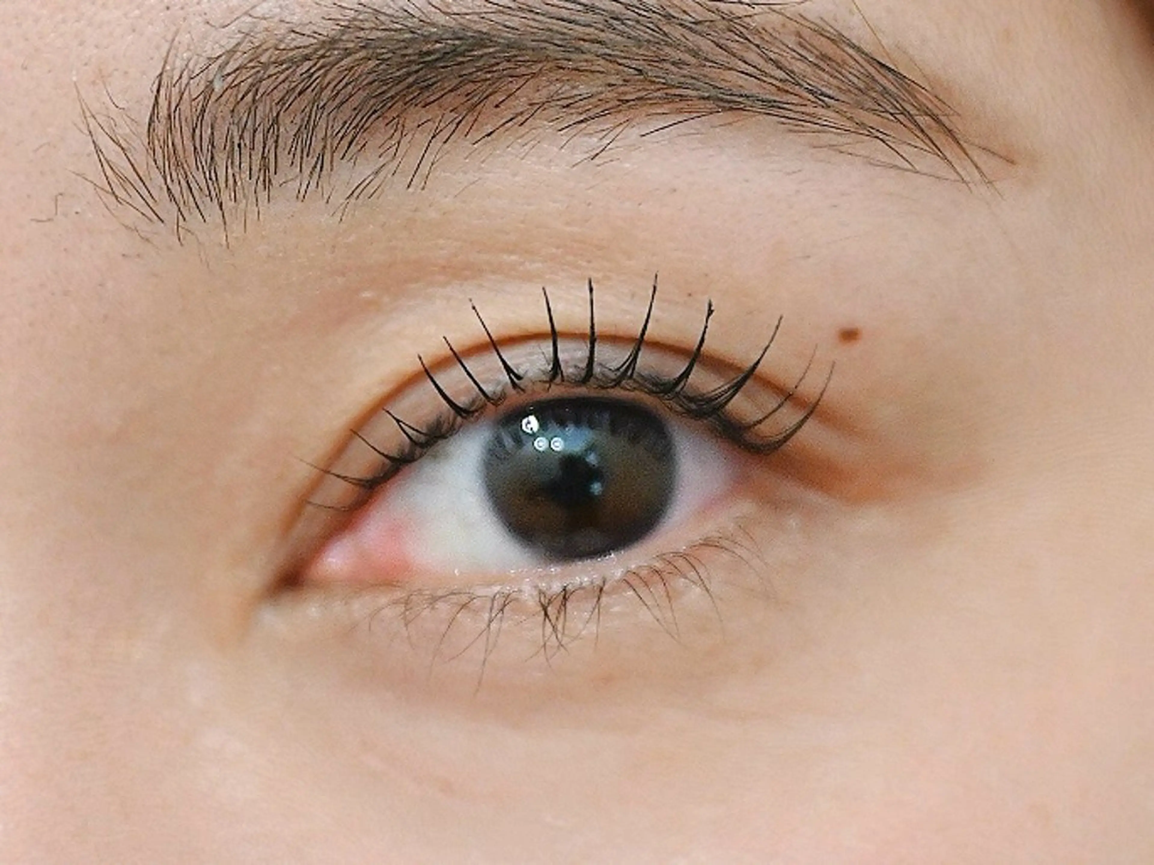 マツエク・マツパ マツパ テトのチヒロ .のマツエク・マツパデザイン