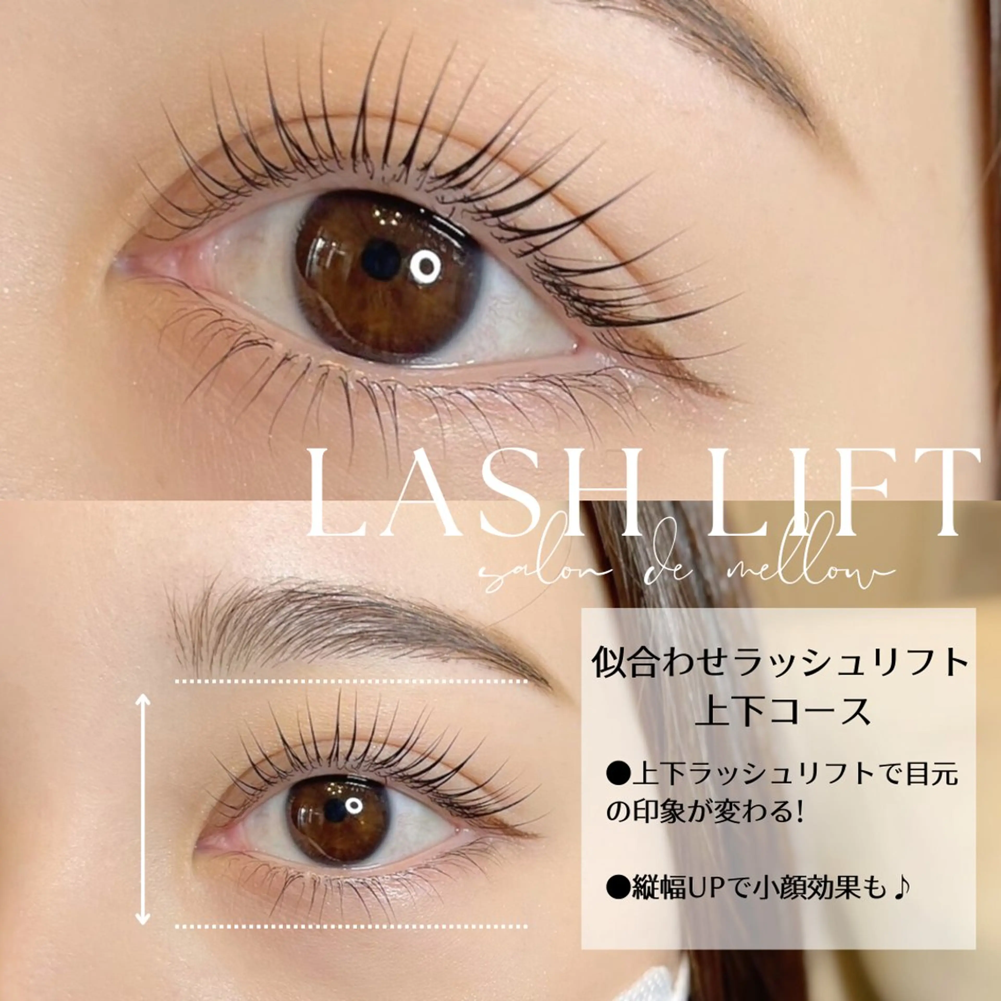 上下SETまつ毛パーマ★の写真