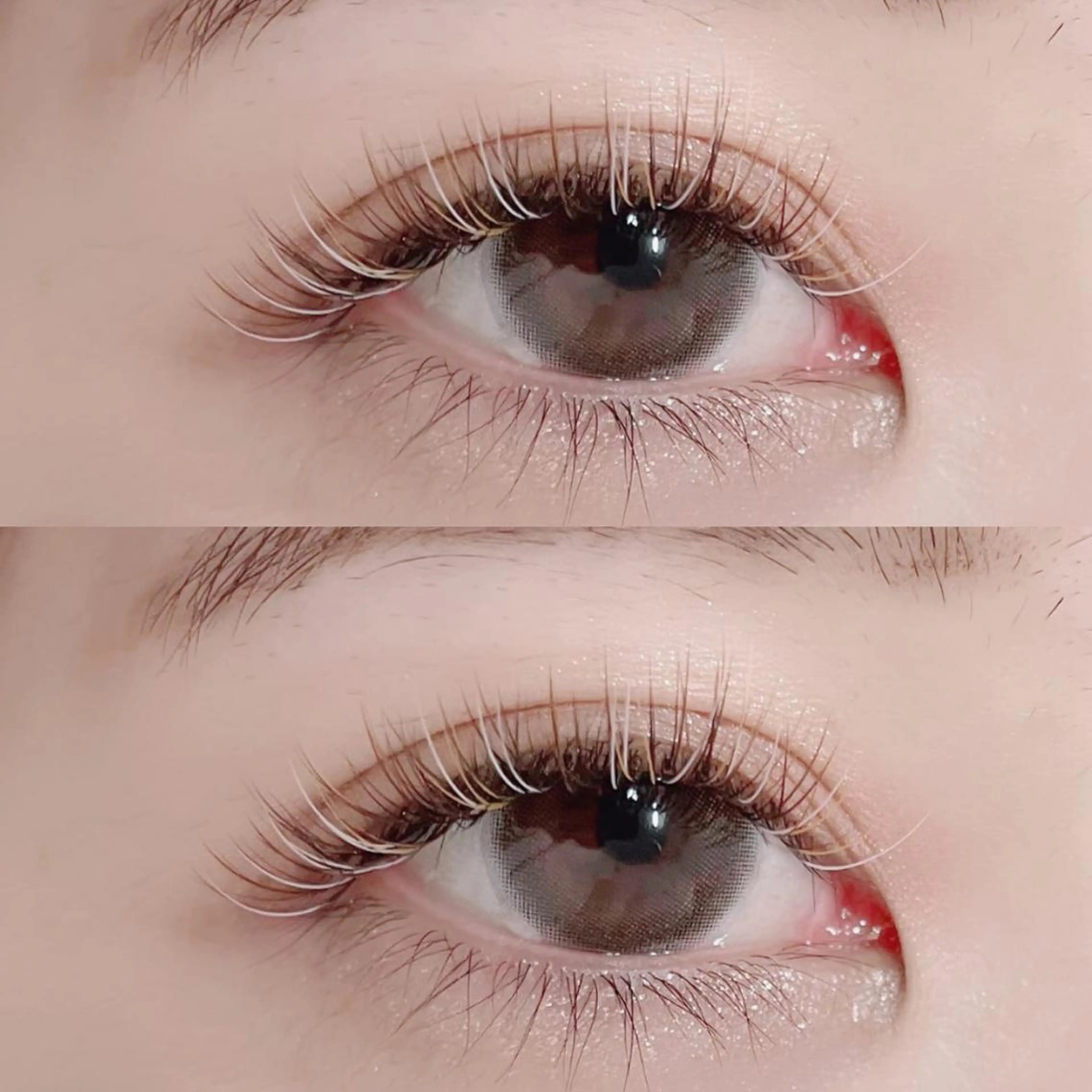 マツエク・マツパ フラットラッシュ パリジェンヌラッシュリフト まつげパーマ 下まつげエクステ 一重×まつ毛パーマ Mon mignonのマツエク・マツパデザイン