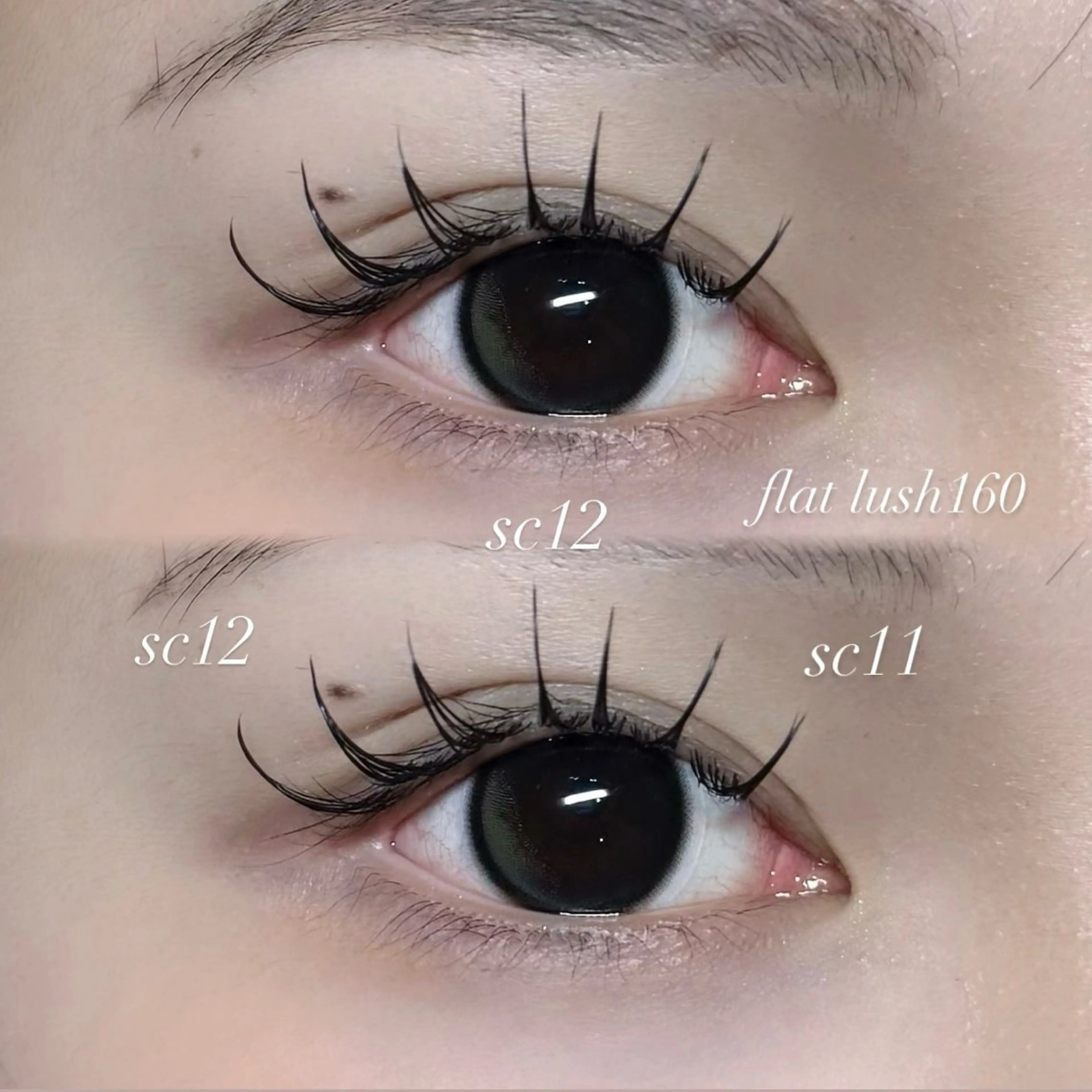 マツエク・マツパ ayaha ⌇angelicaのマツエク・マツパデザイン