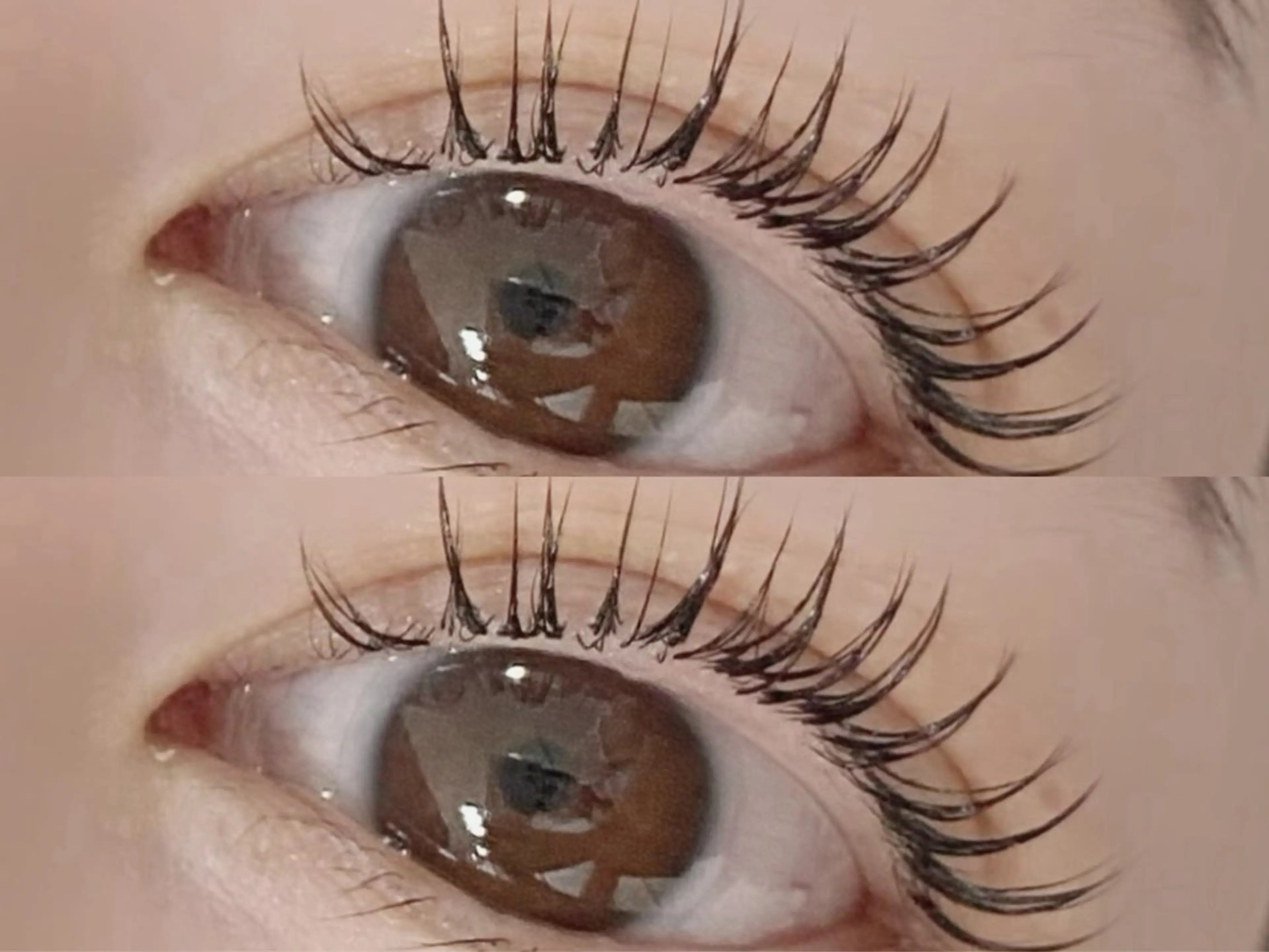 マツエク・マツパ フラットラッシュ パリジェンヌラッシュリフト マツエク 💎マツエク/眉毛 パリジェンヌ渋谷💎の眉毛・アイブロウイメージ