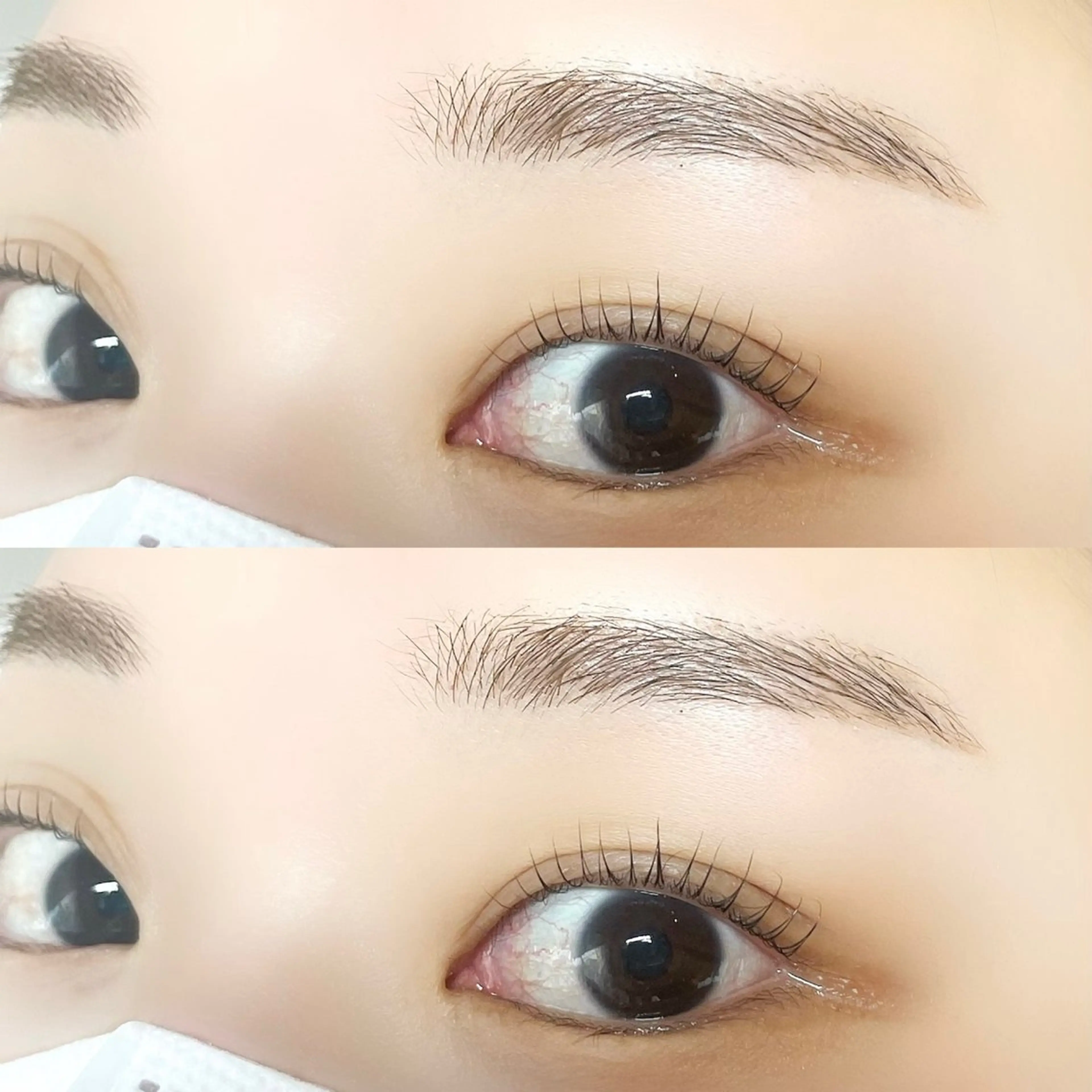 アイブロウ eyelash CLAYの眉毛・アイブロウイメージ