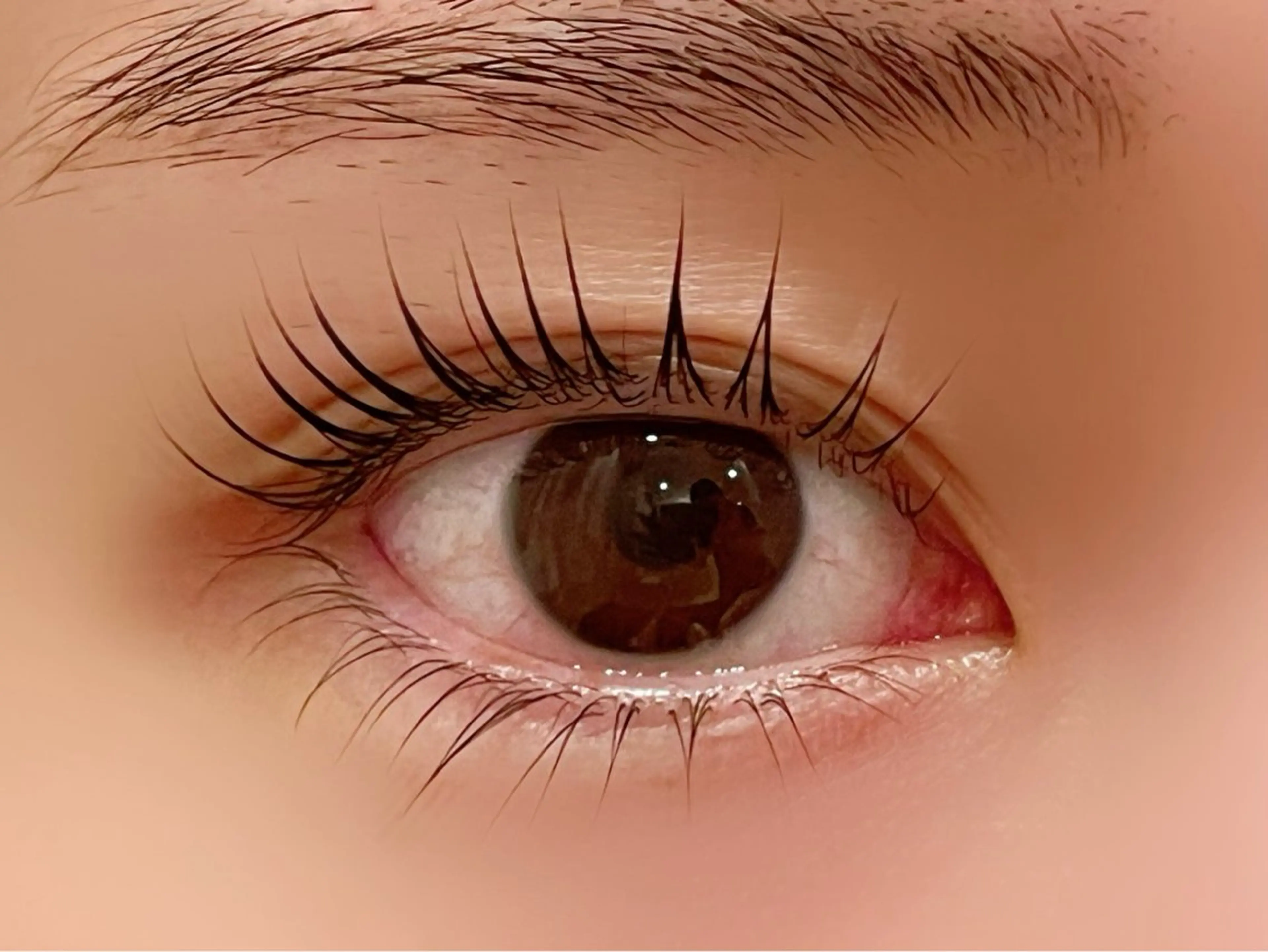 パリジェンヌラッシュリフト✨コーティング付✨の写真