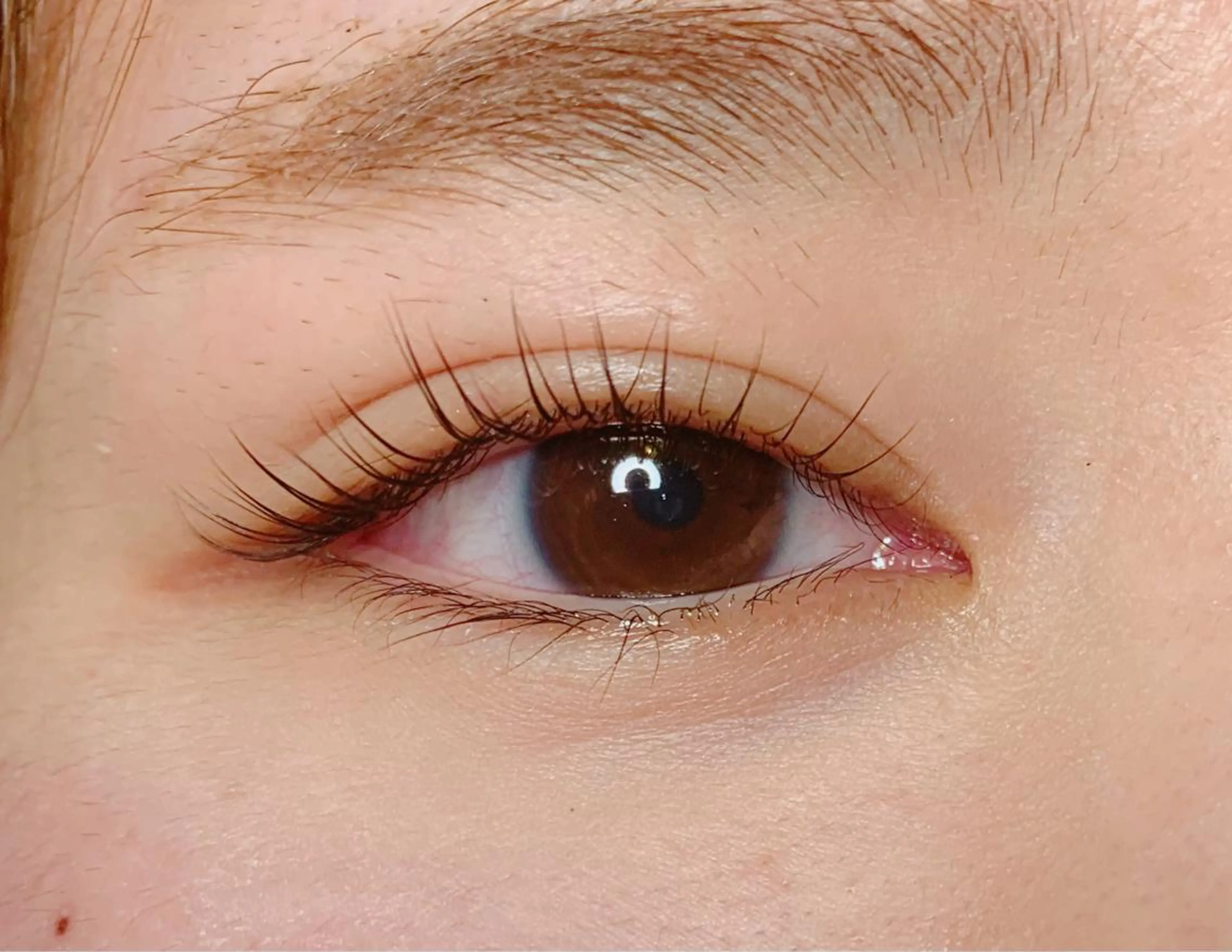 マツエク・マツパ パリジェンヌラッシュリフト 梅田駅近！半個室 M'sアイブロウの眉毛・アイブロウイメージ