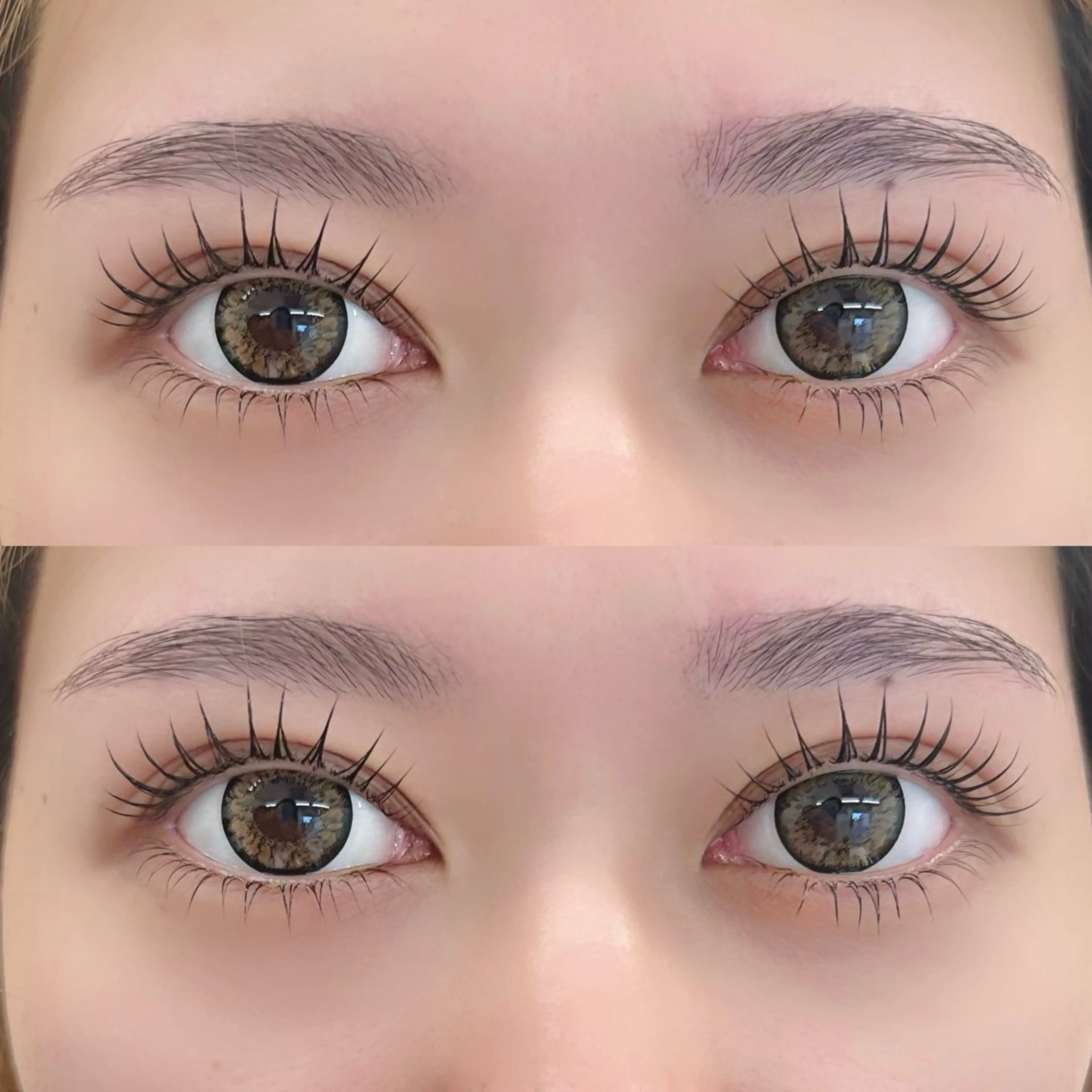 🦋 上下パリジェンヌラッシュリフト　当日予約◎の写真