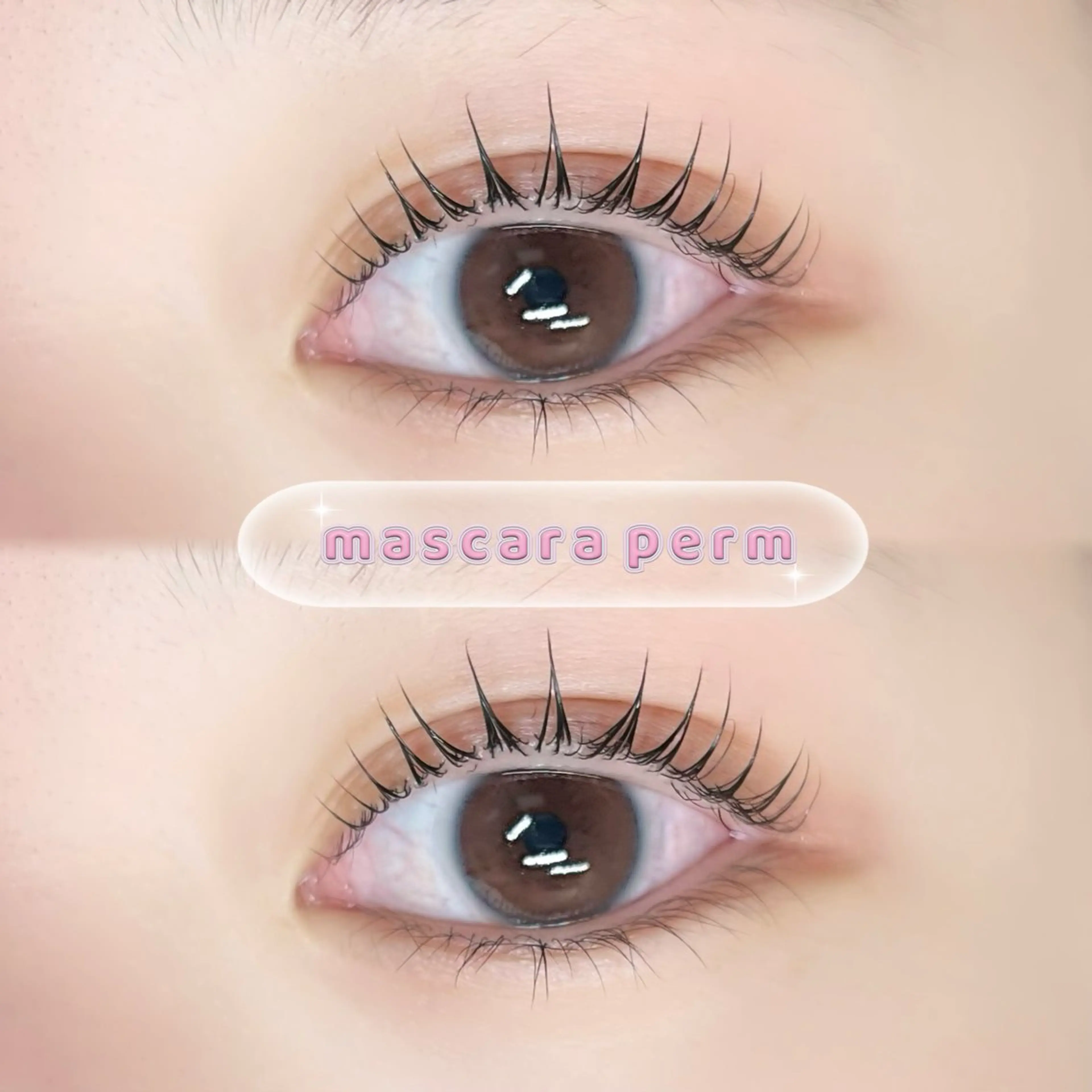 【デザイン豊富◎】🐾マスカラまつげパーマ🐾ケアメニュー付🤍の写真