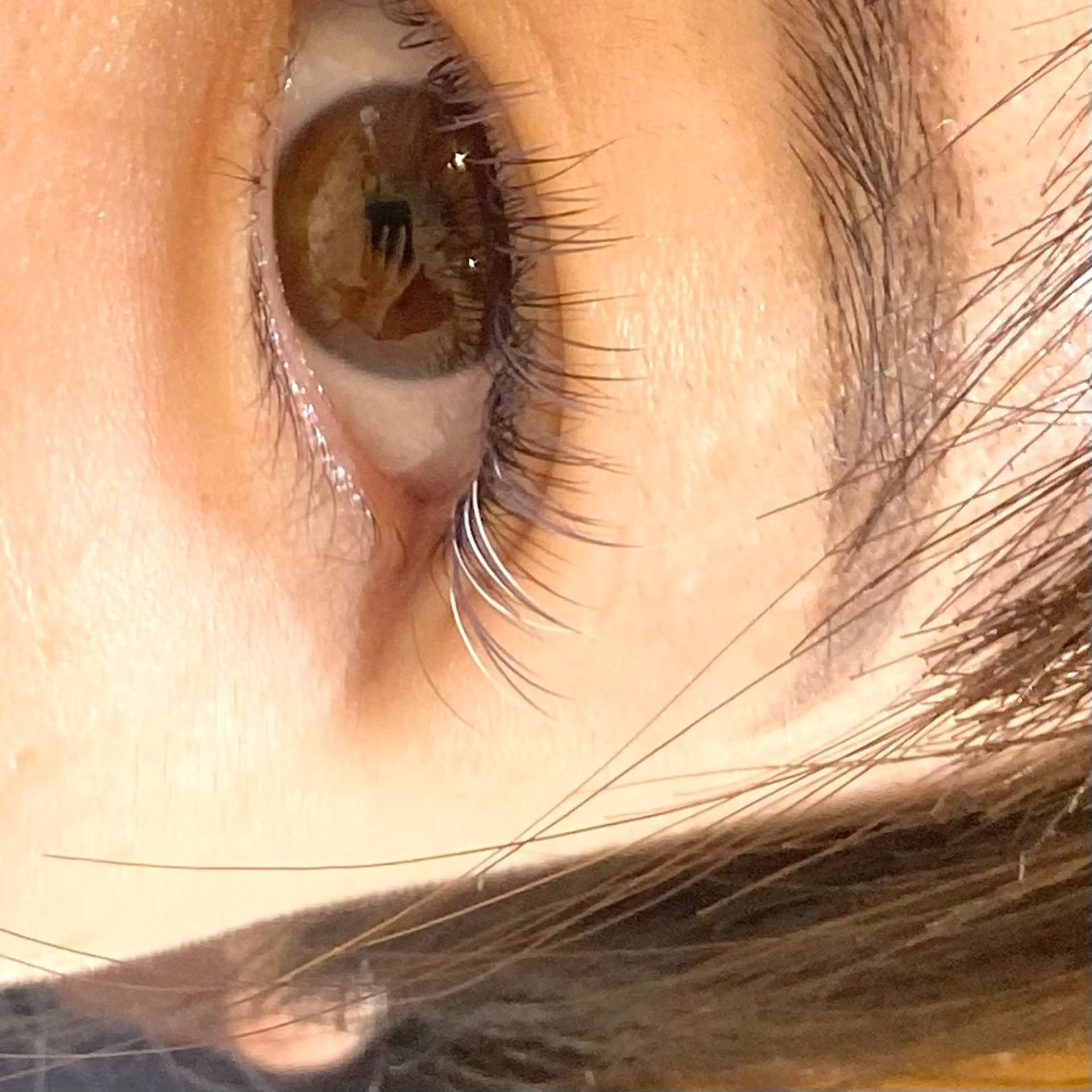 マツエク・マツパ Charme シャルムのマツエク・マツパデザイン