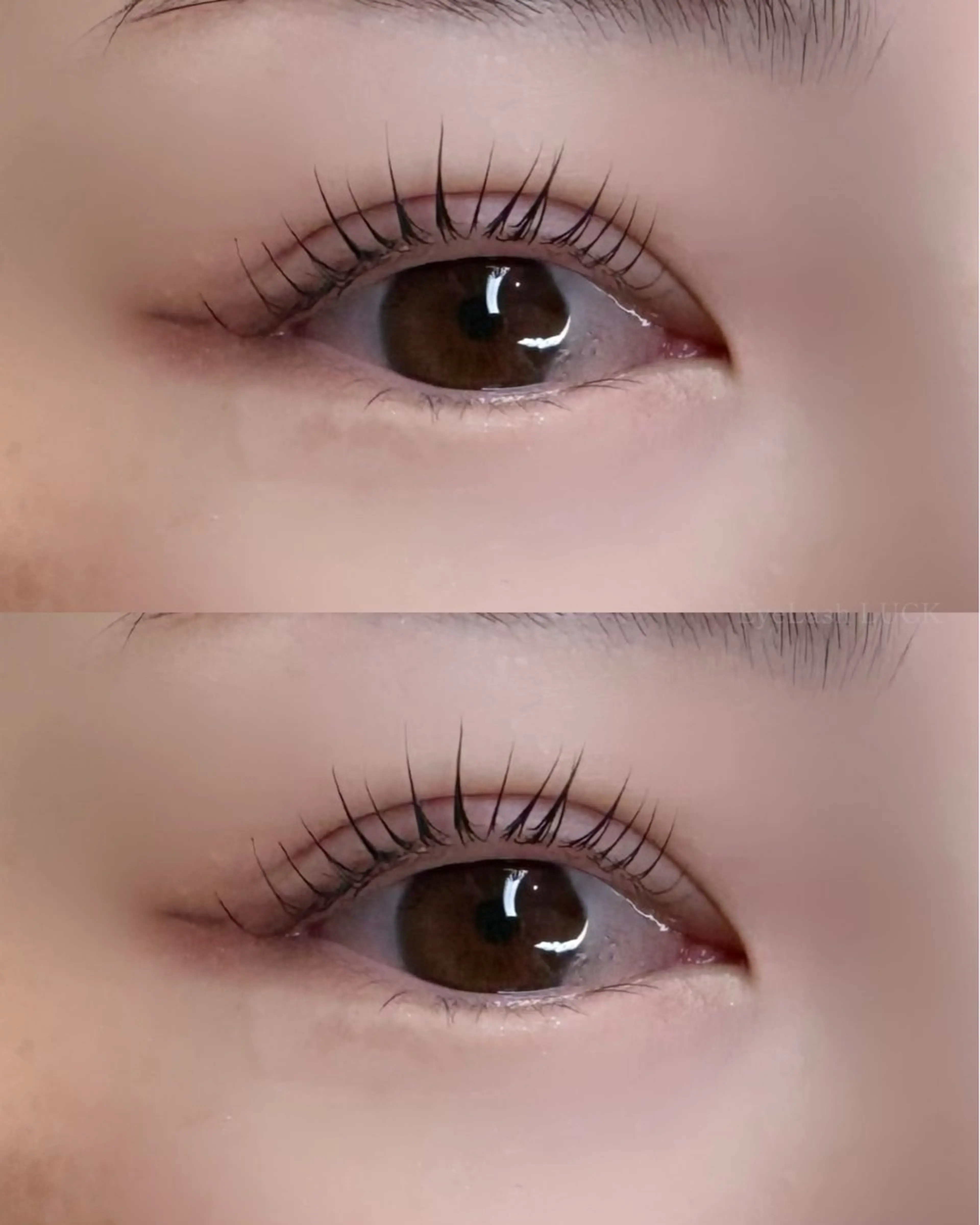 マツエク・マツパ Eyelash LUCK本厚木のマツエク・マツパデザイン