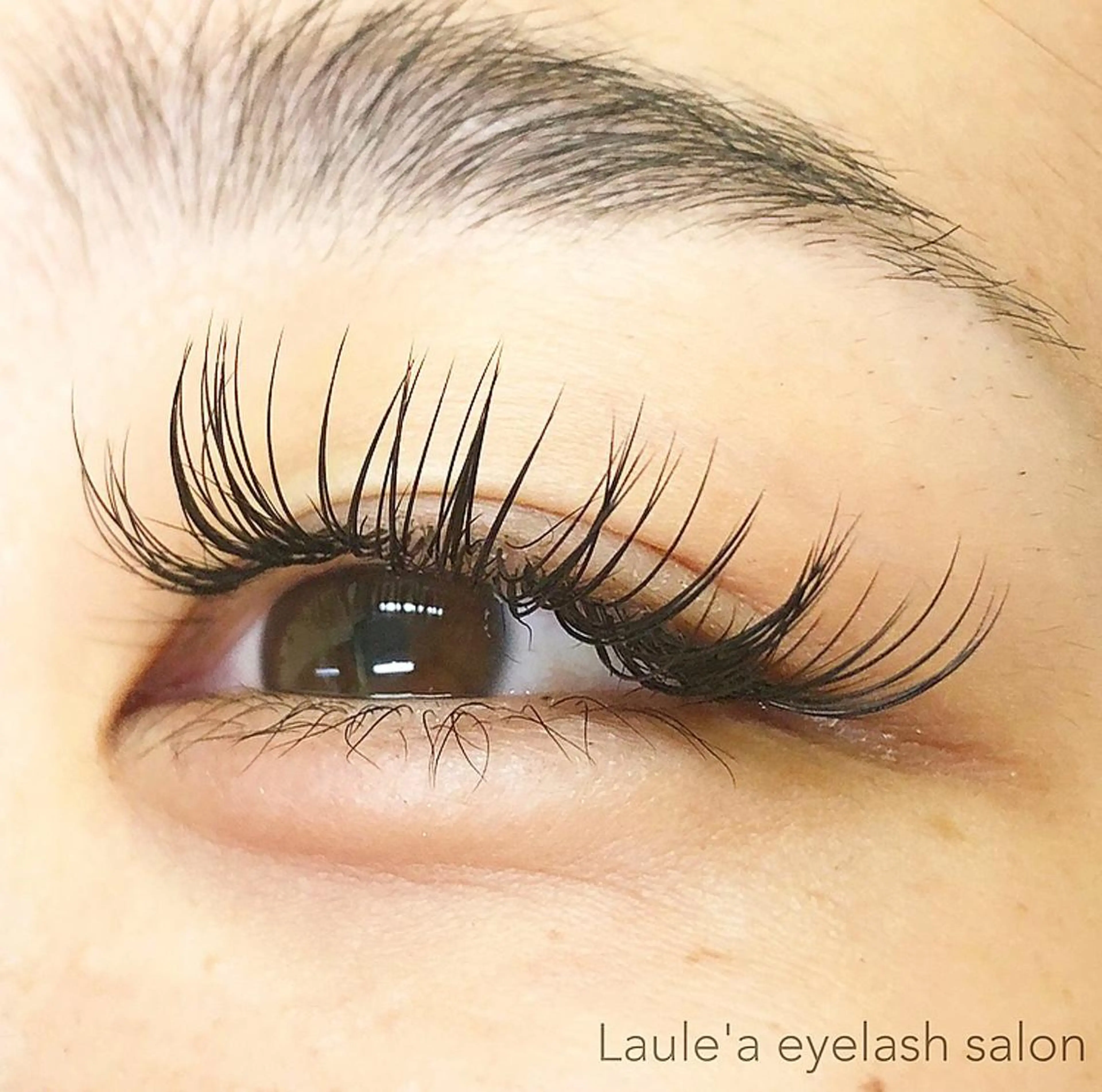 マツエク・マツパ マツエク Laule'a ラウレアのマツエク・マツパデザイン