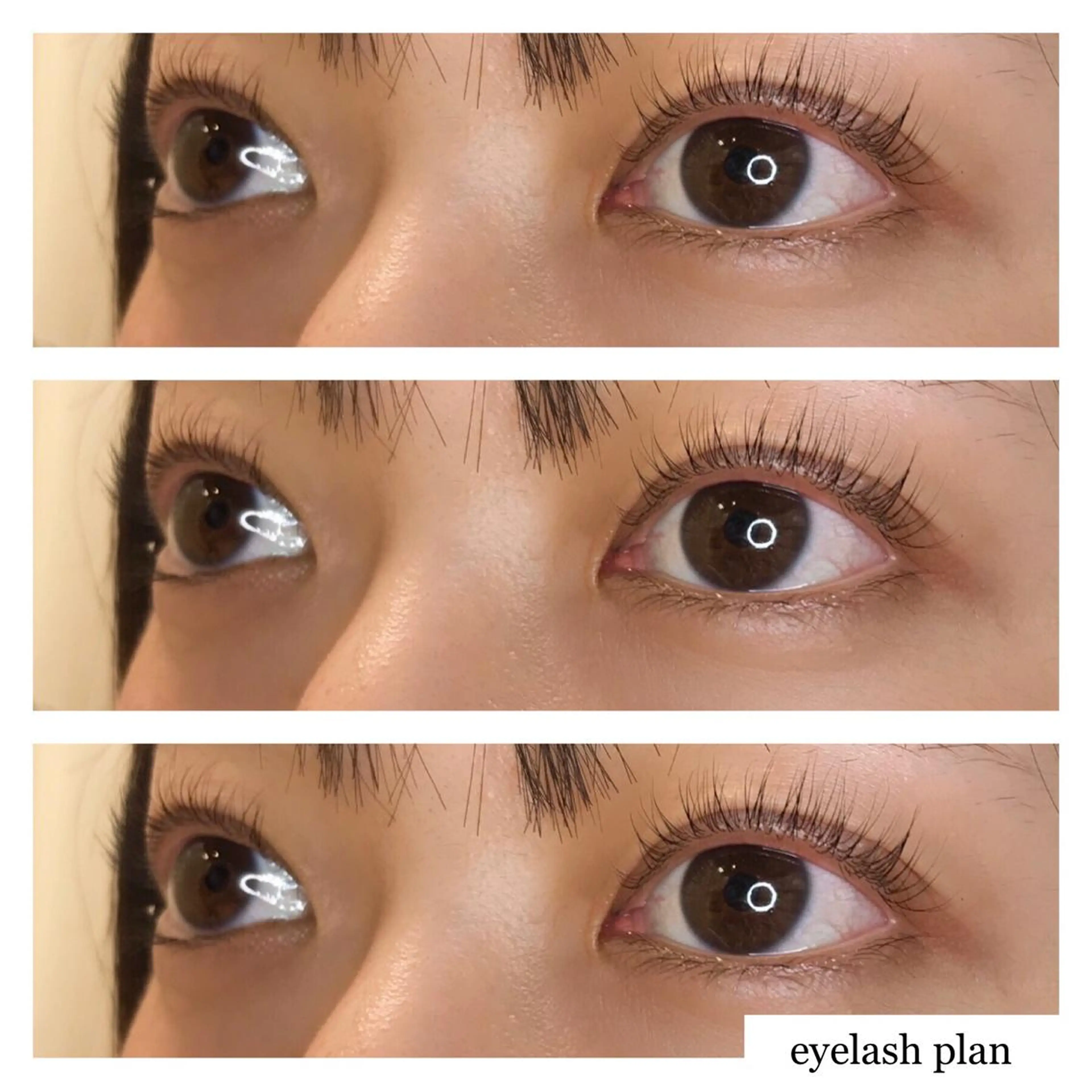 マツエク・マツパ 《eyelash ｉｉｔｅ》森のマツエク・マツパデザイン