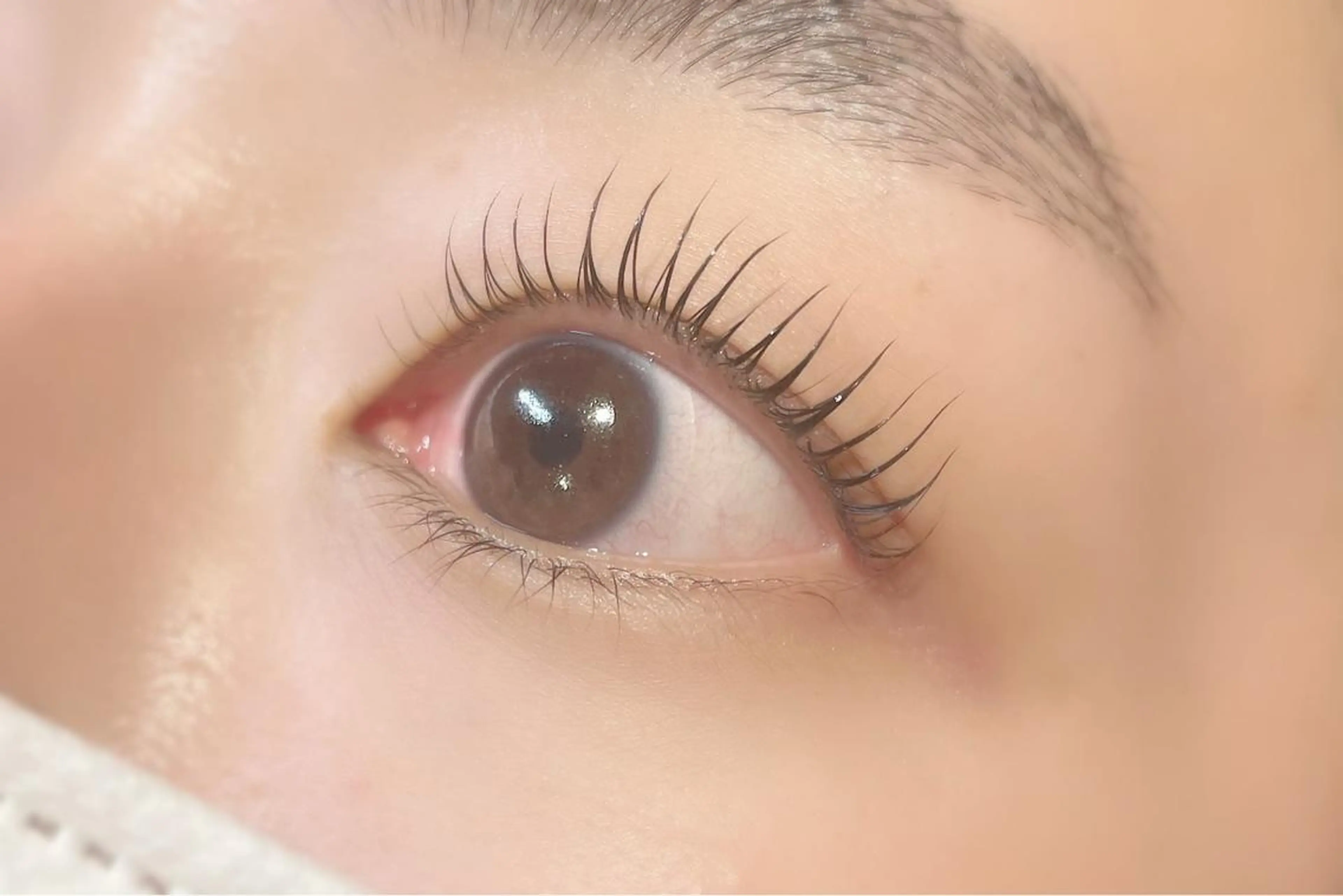 マツエク・マツパ ケラチンラッシュリフト EYEMAJIC Pure★高見の眉毛・アイブロウイメージ