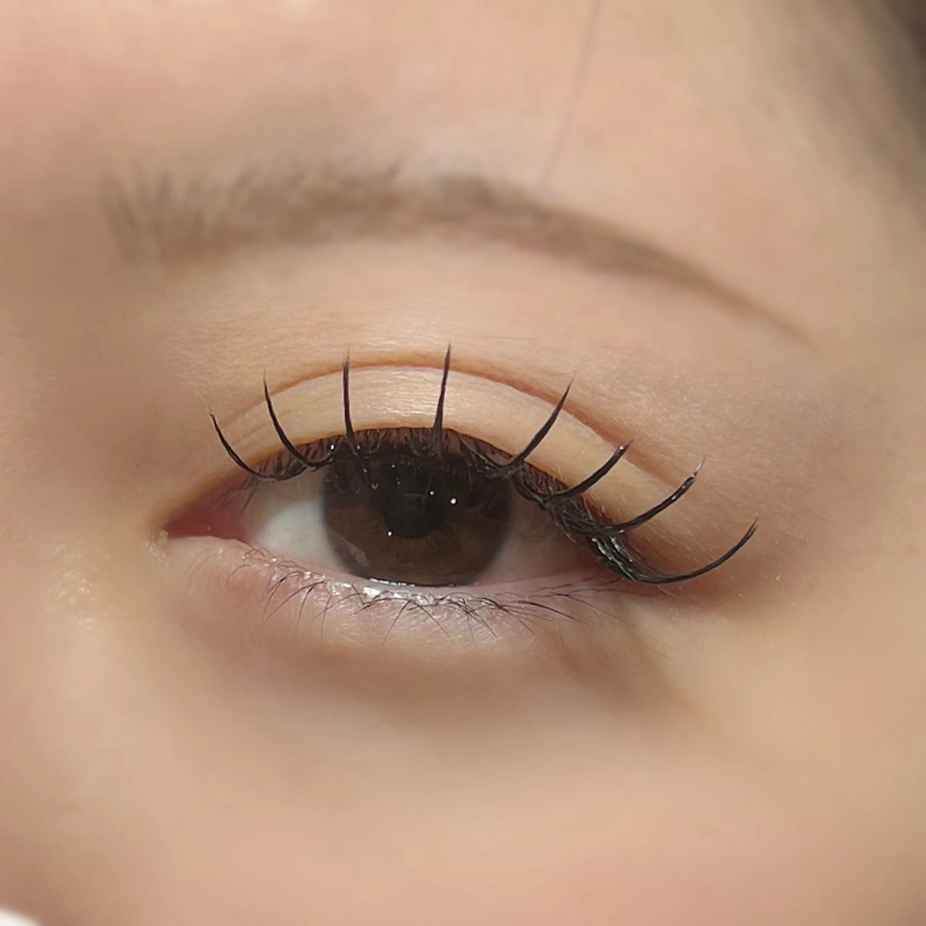 マツエク・マツパ Labelta .のマツエク・マツパデザイン