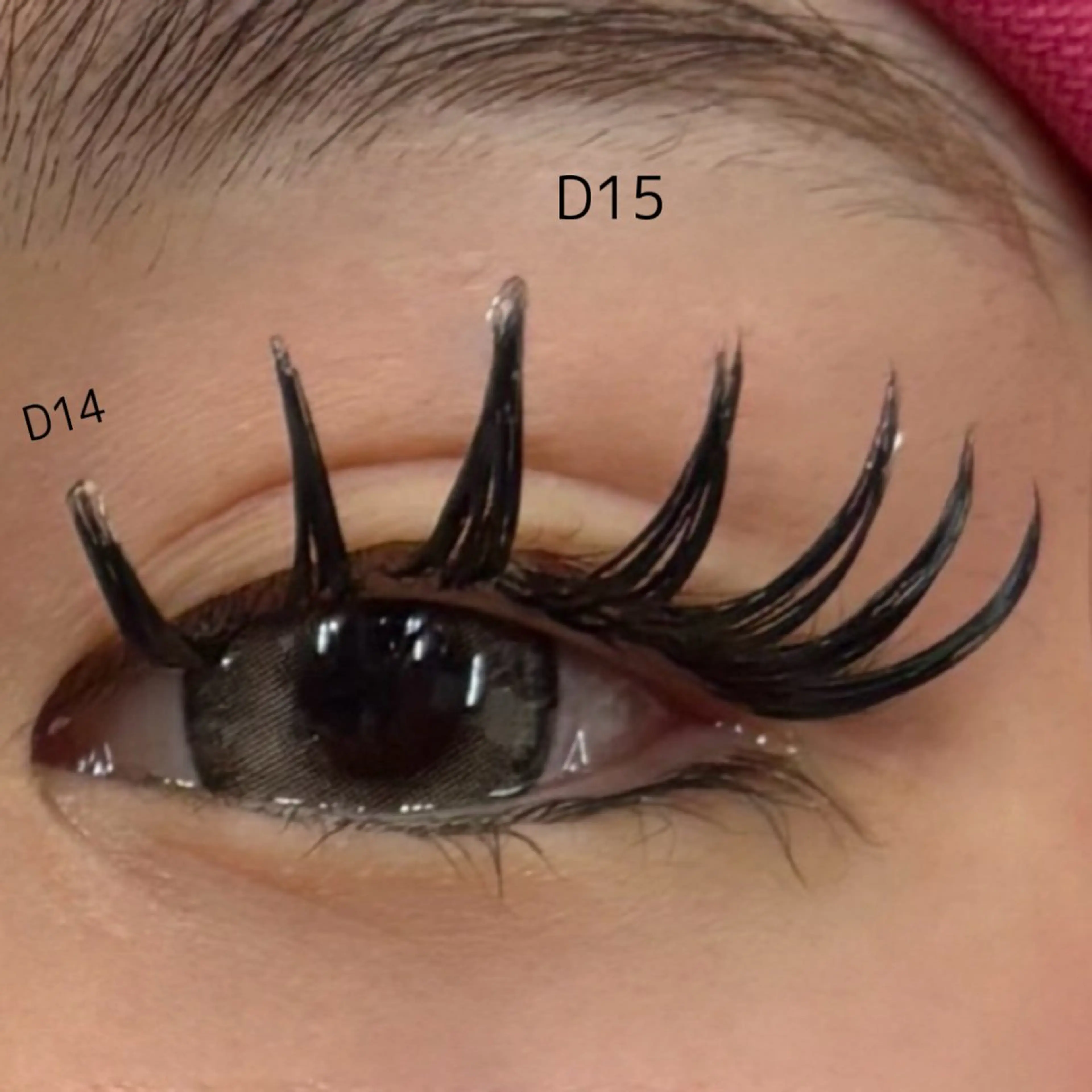 マツエク・マツパ マツエク STITCH 光佑のマツエク・マツパデザイン