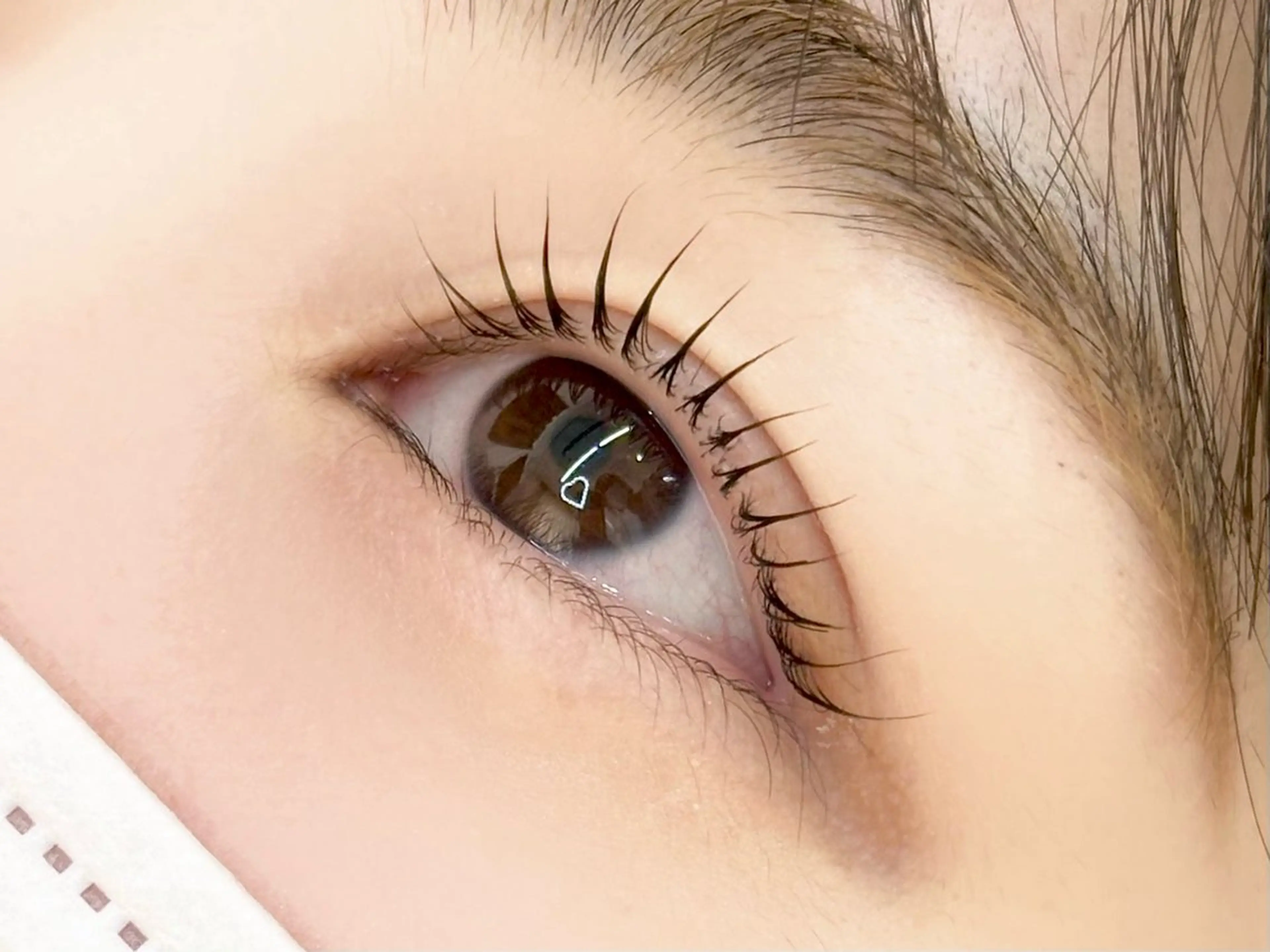 モデル募集ラッシュリフト（ケア剤込み）の写真