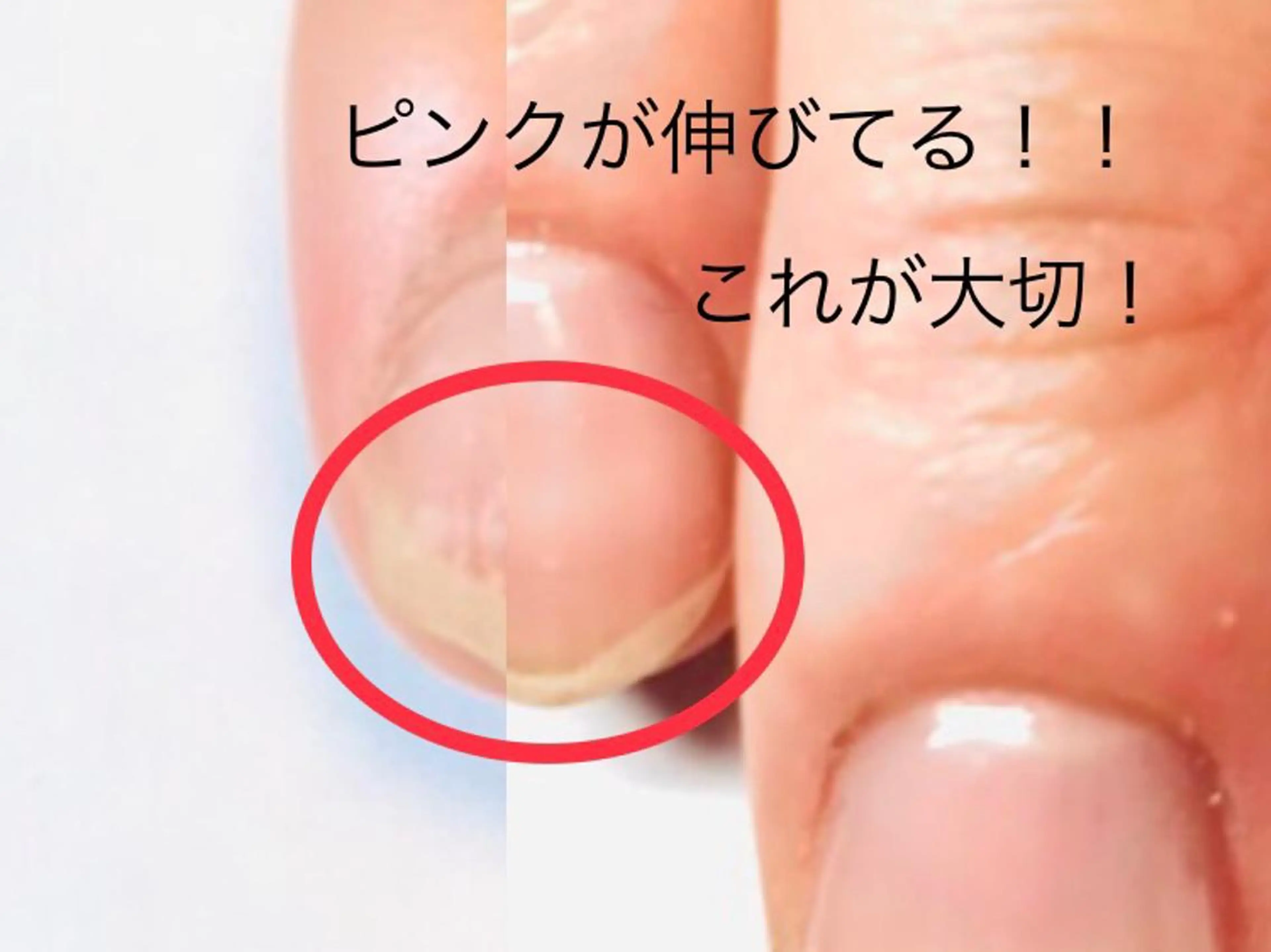 ネイル 紬-tsumugi- 育成専門サロンのマツエク・マツパデザイン