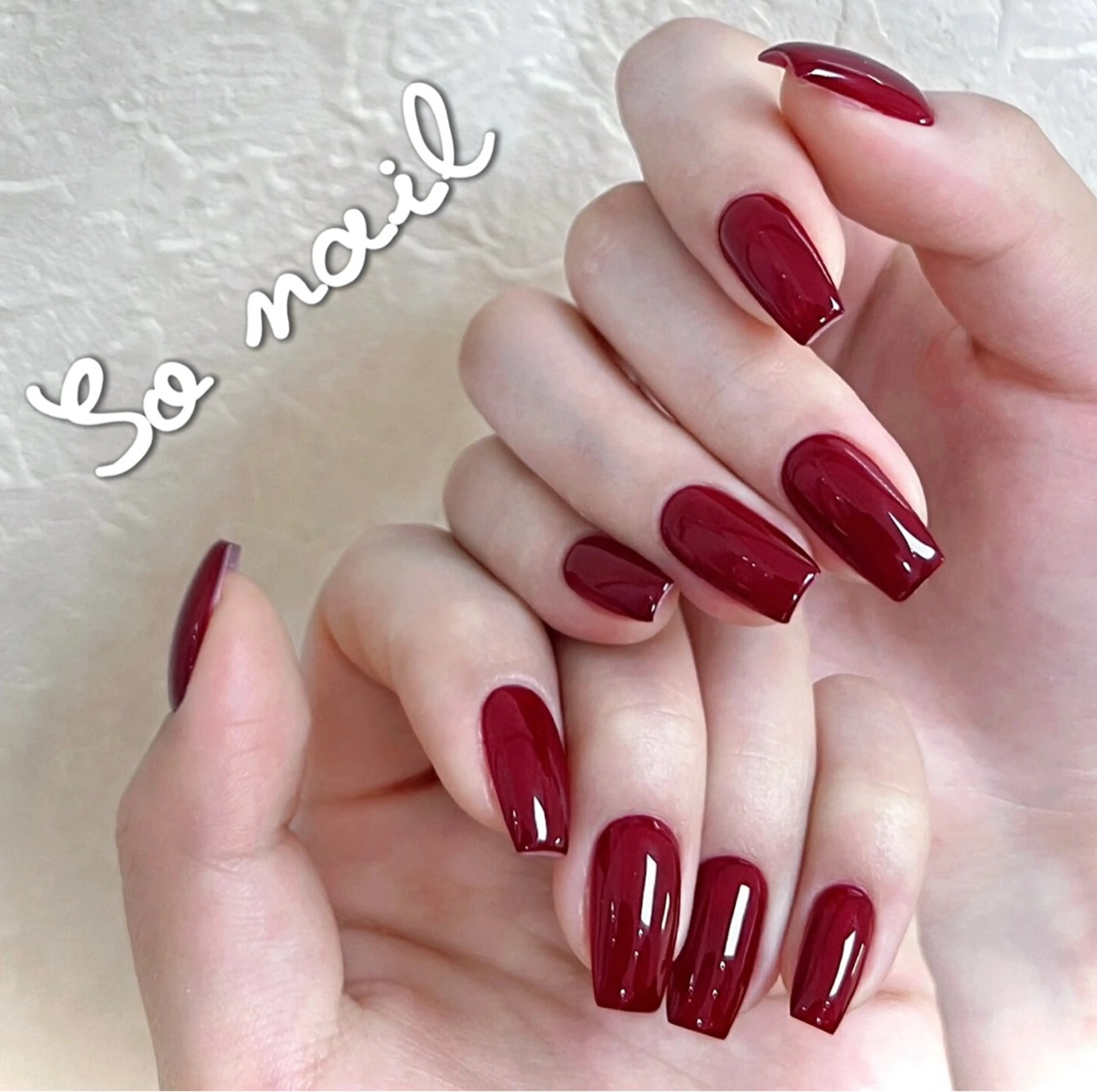 ワンカラーの写真