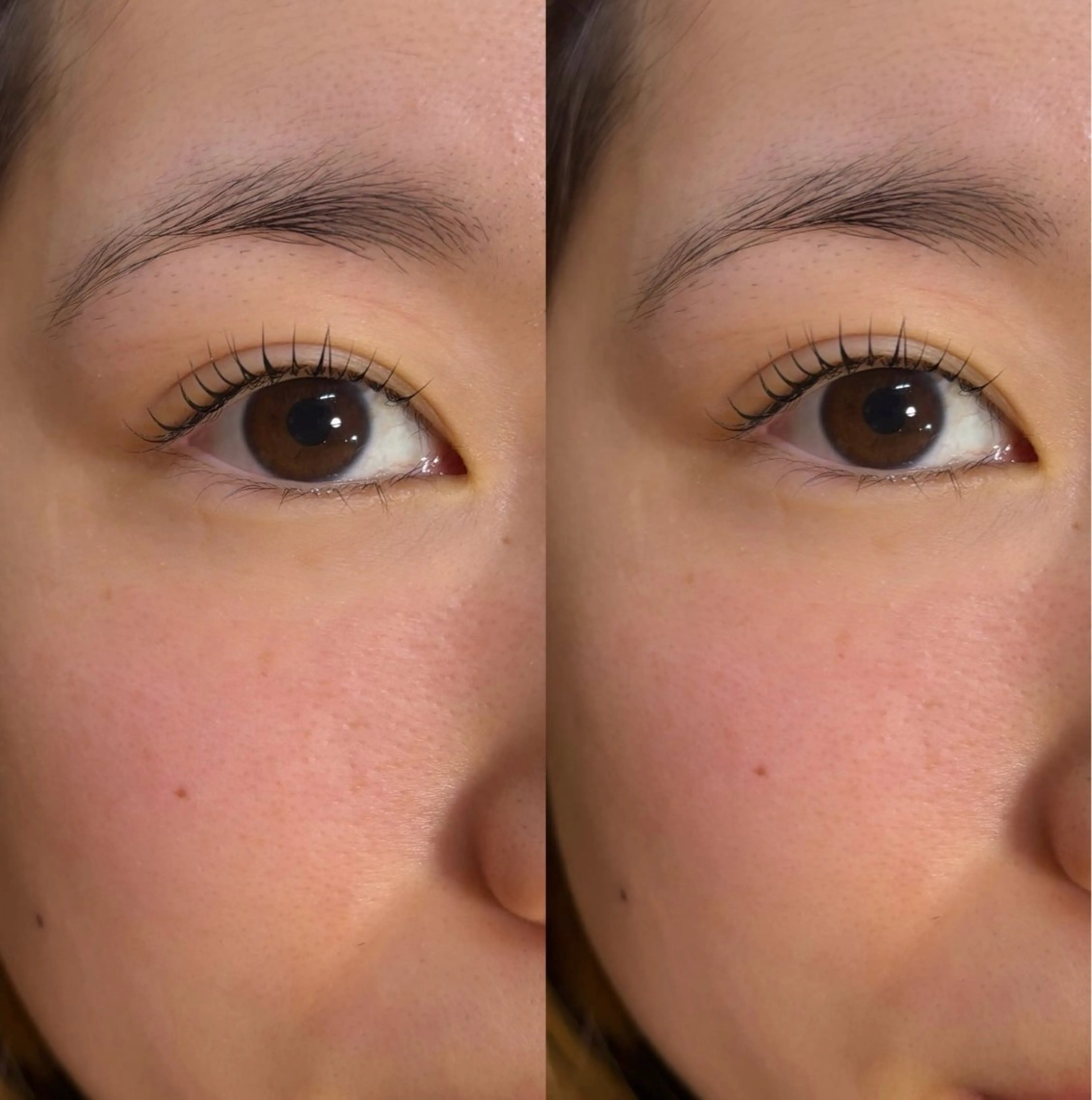 【ご新規様限定】🌱まつ毛パーマ¥3800-にてご案内^_^♡ケラチントリートメント付き🧡の写真