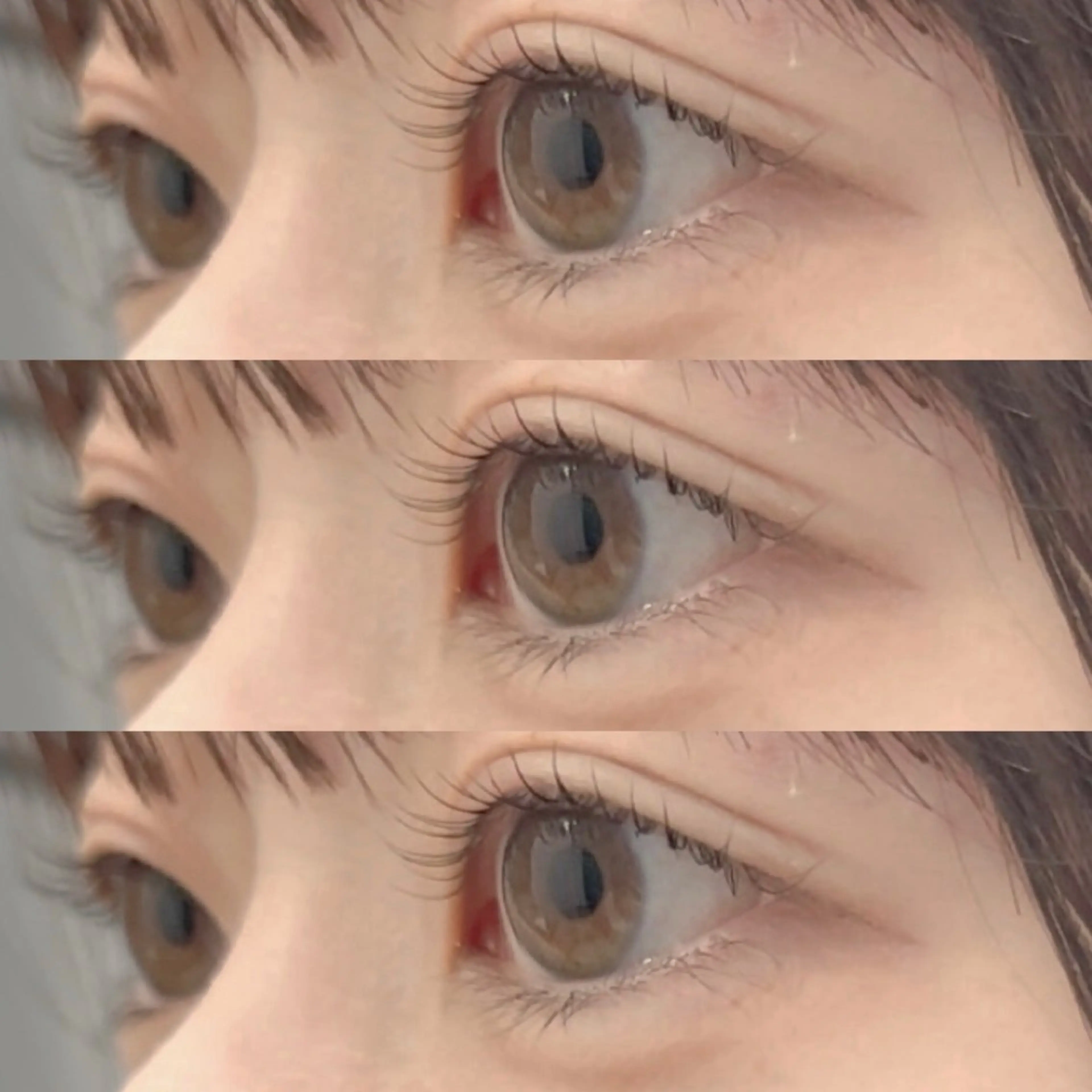 𓊆 パリジェンヌラッシュリフト‎𓊇束感コーティング仕上げ🪽‪の写真