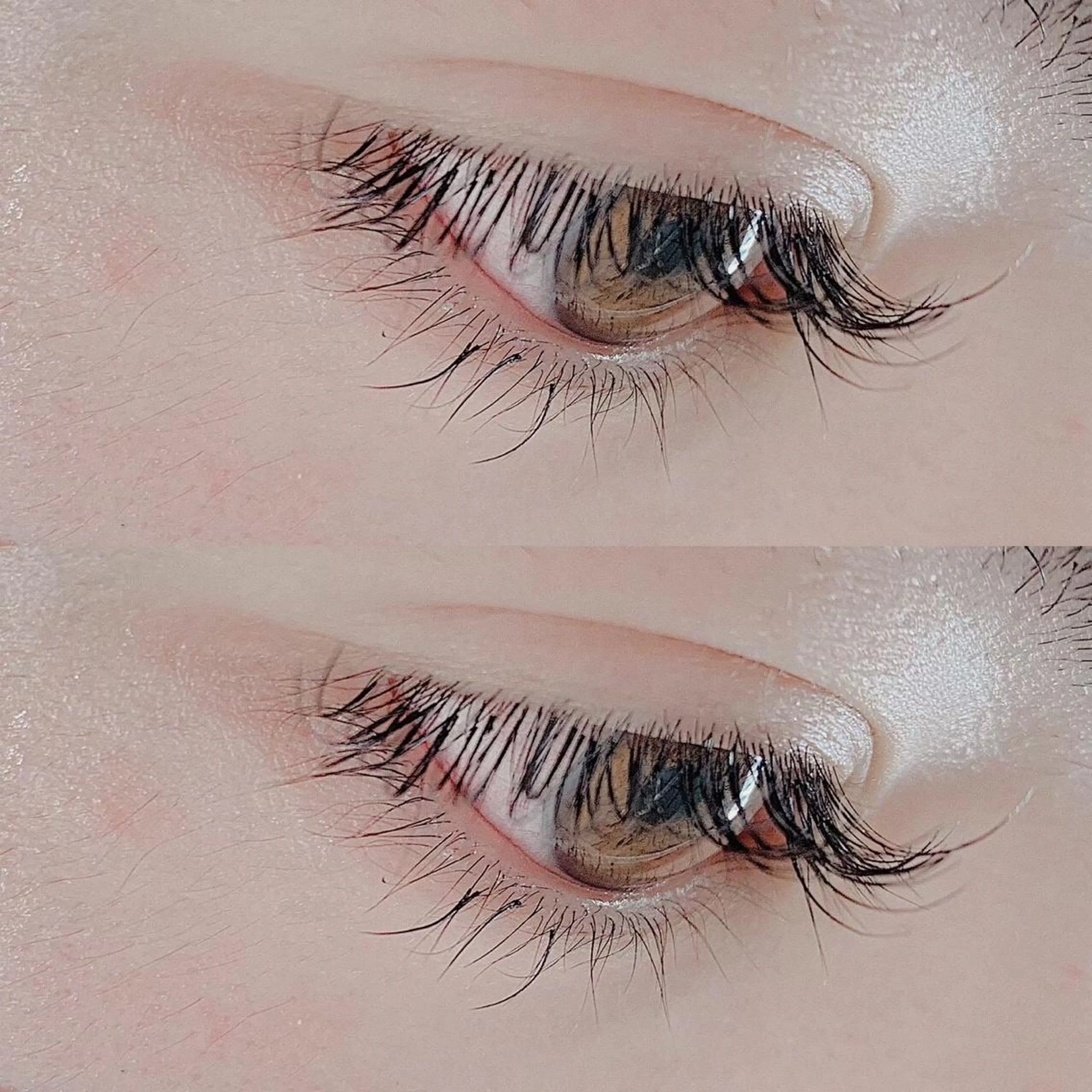 マツエク・マツパ 銀座/レイヤー 🌷nonoka🌷のヘアスタイル