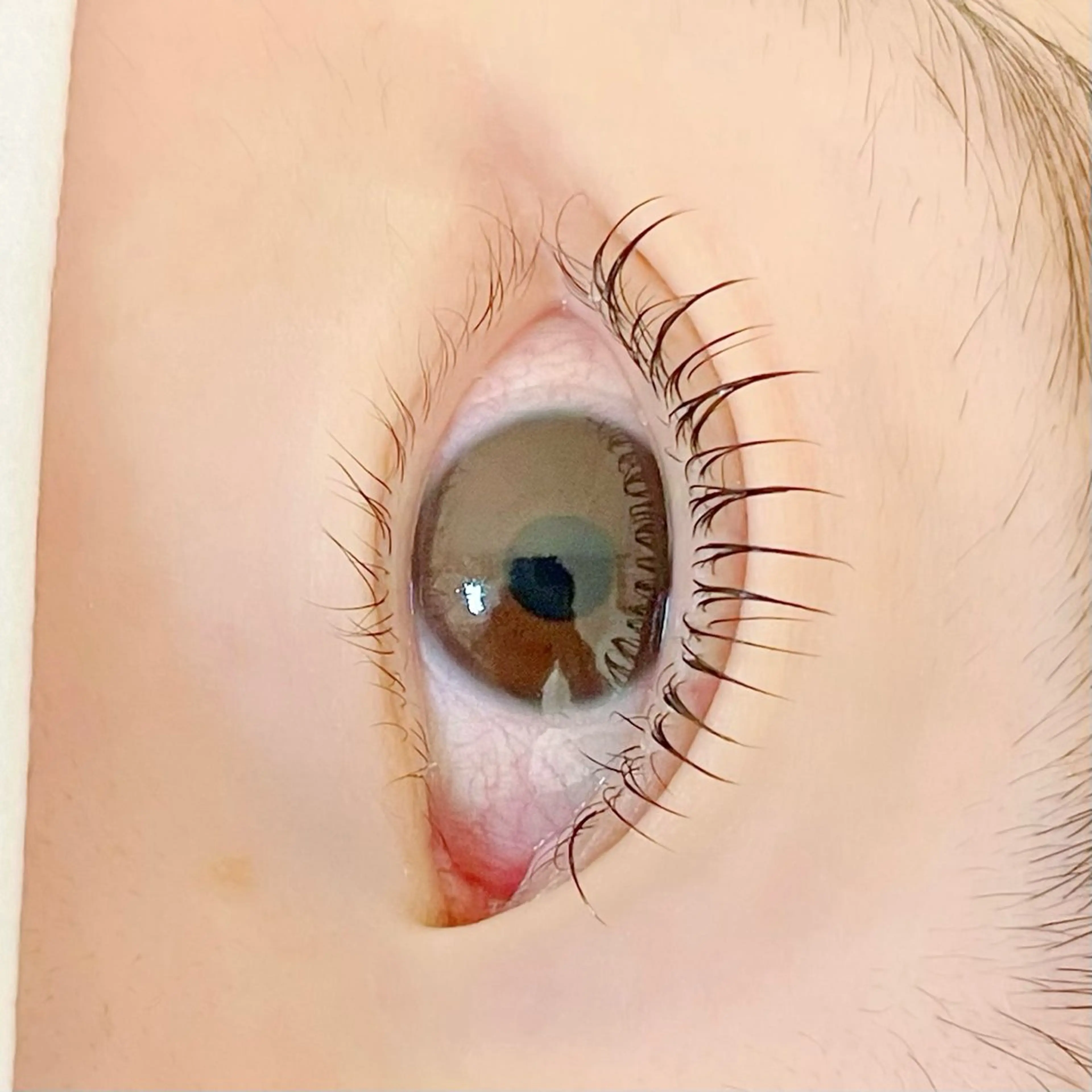 マツエク・マツパ マツパ pour voursのマツエク・マツパデザイン