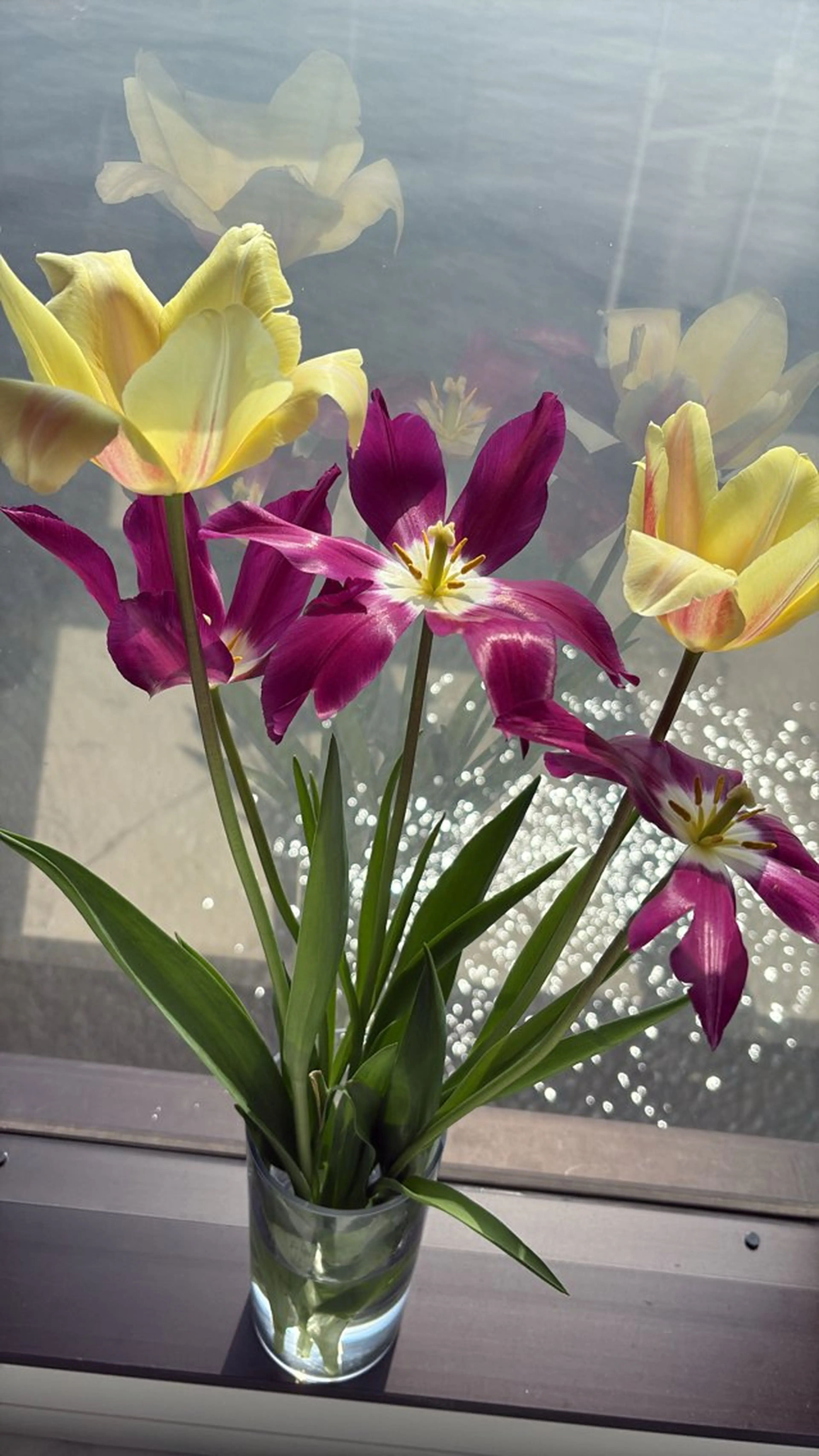 西大分S.Nail 𓏲⋆🪸.⋆⸜🫧のネイルデザイン