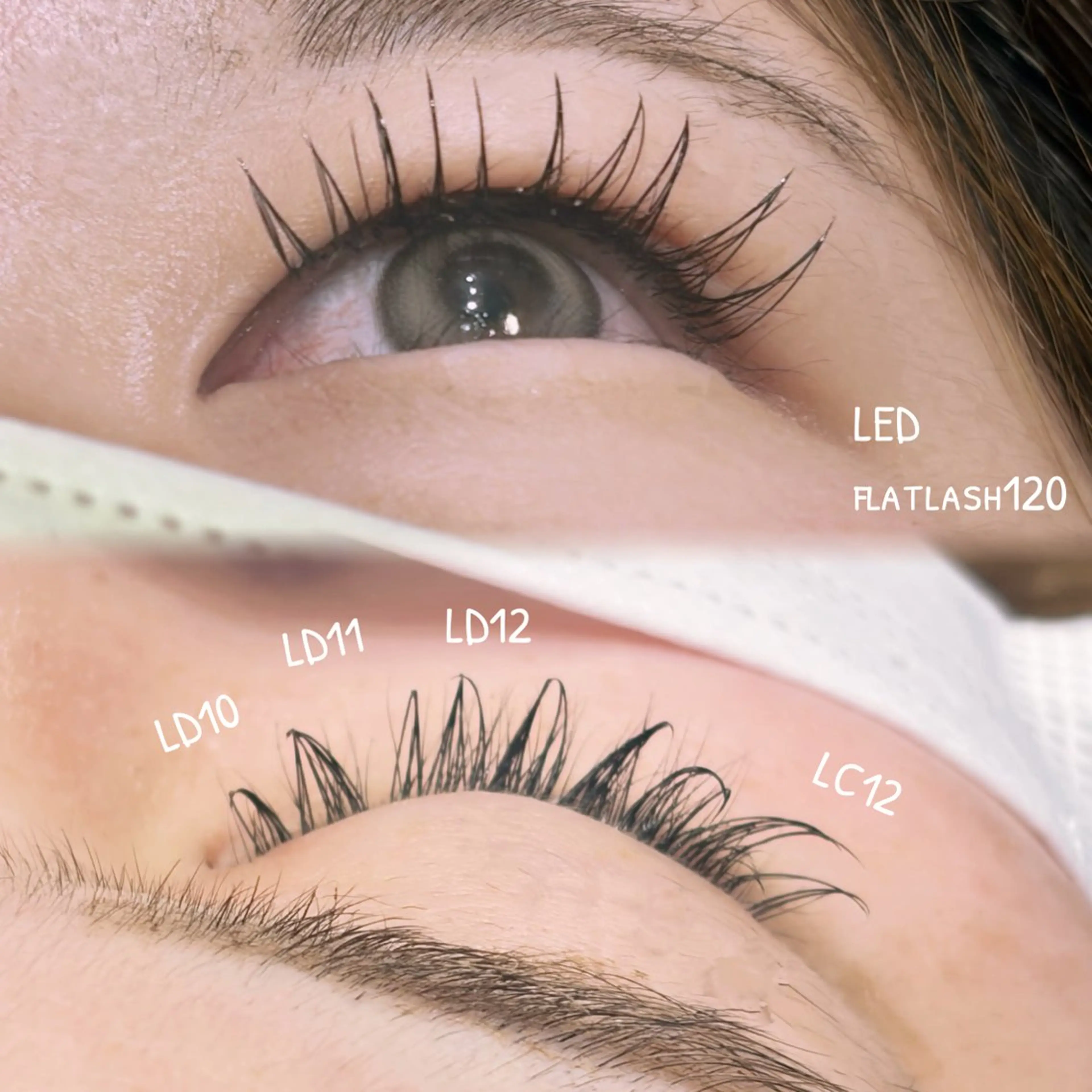 マツエク・マツパ Dカール マツエク 相川 優芽のマツエク・マツパデザイン