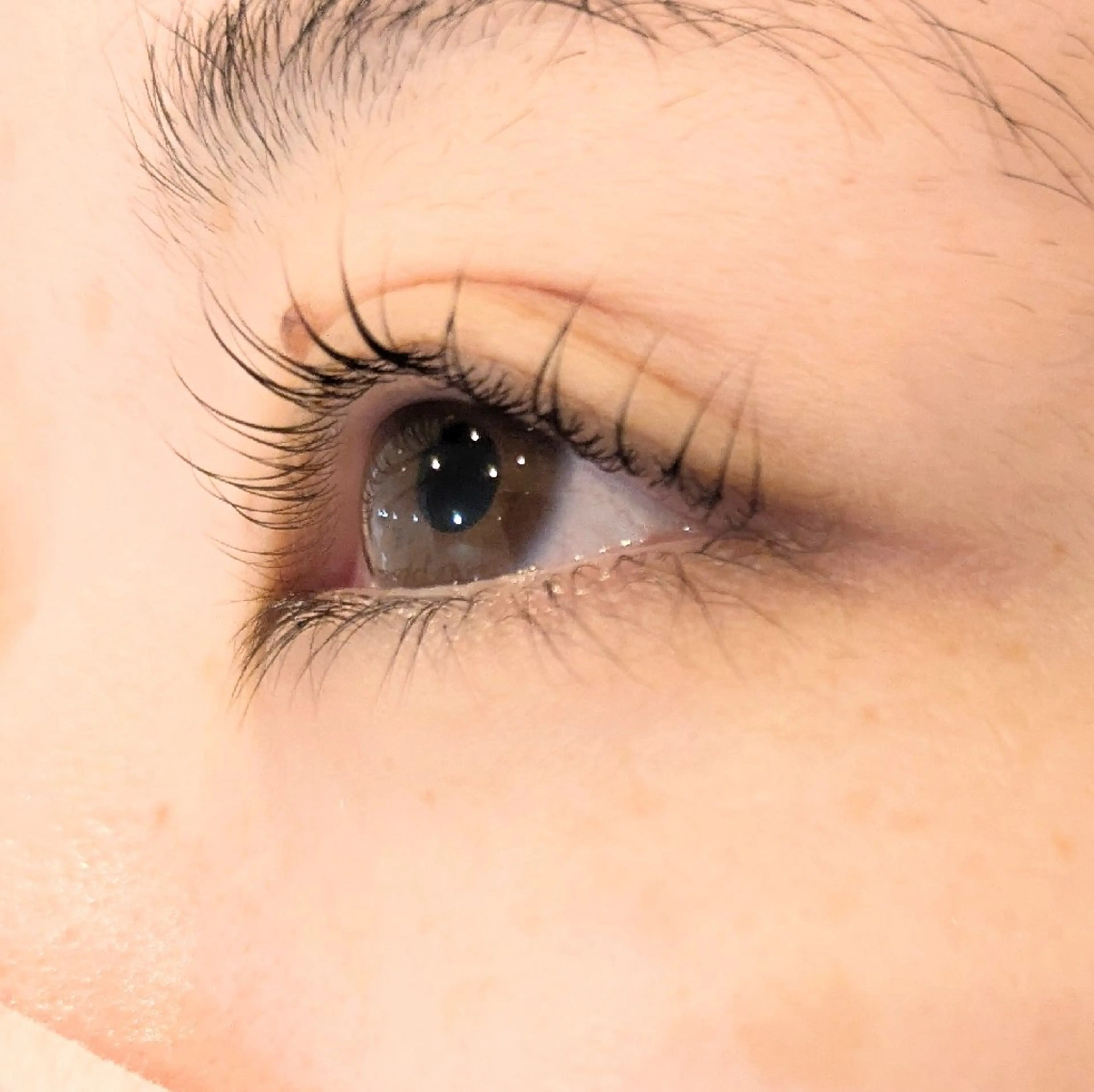 マツエク・マツパ 一重×まつ毛パーマ 【泉中央】CLASS 中村のマツエク・マツパデザイン