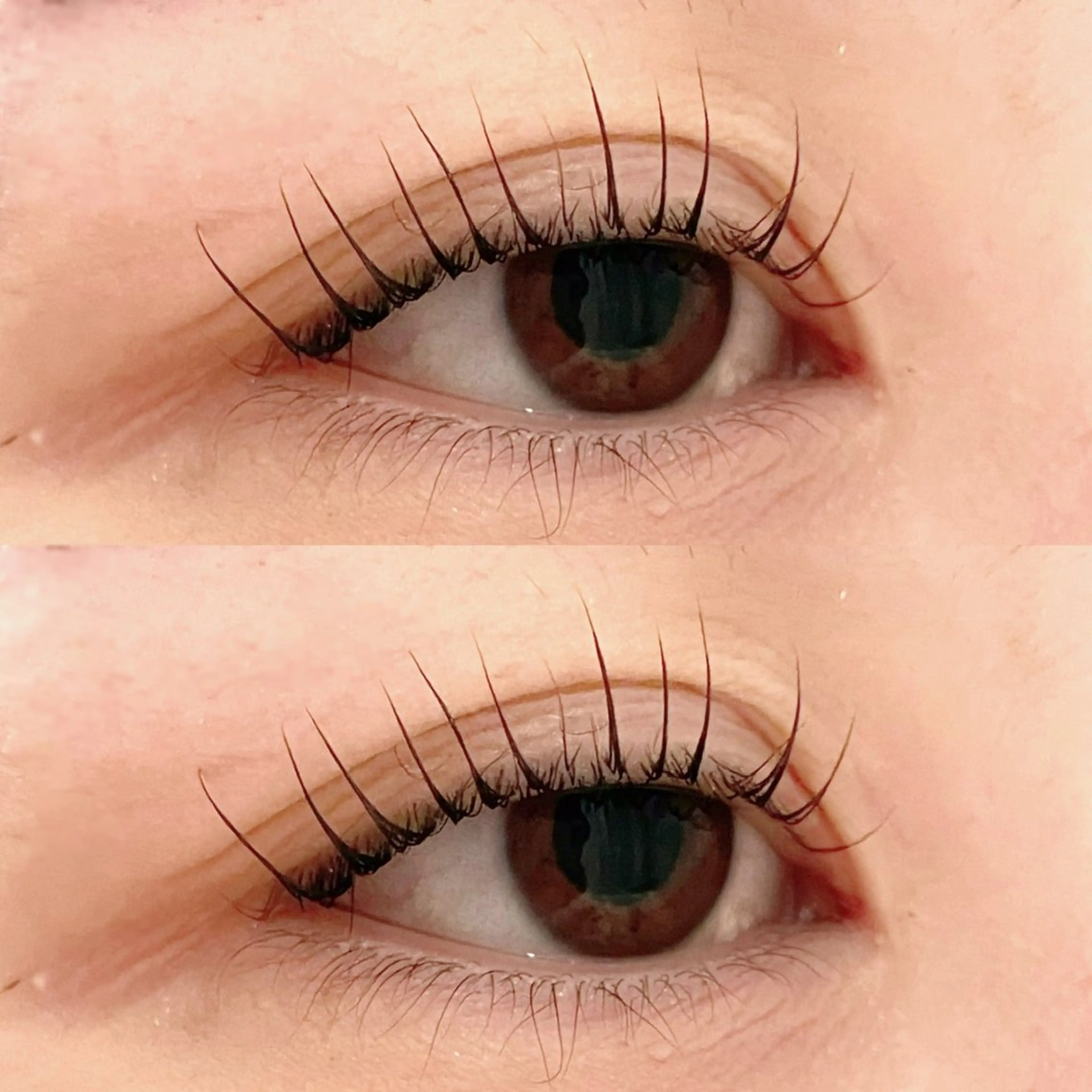 【4/16~17限定⭐️】 【オフなし】最高級セーブル🪽フラットラッシュ120本/コーティングTR付の写真