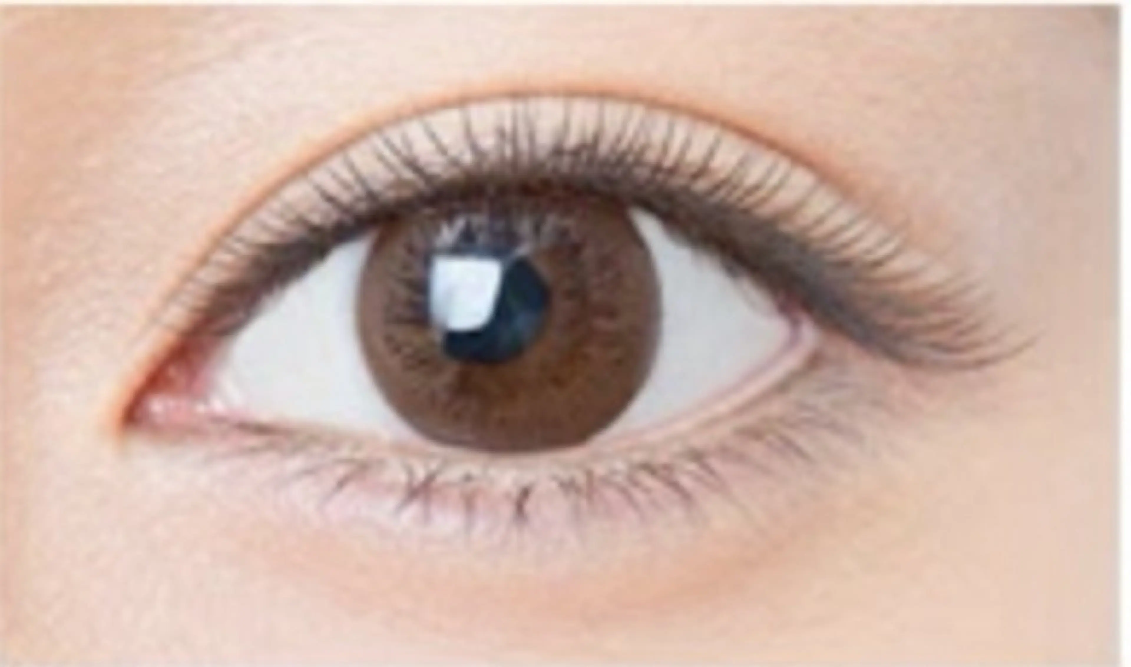 マツエク・マツパ アイブロウサロン i'mアカデミーの眉毛・アイブロウイメージ