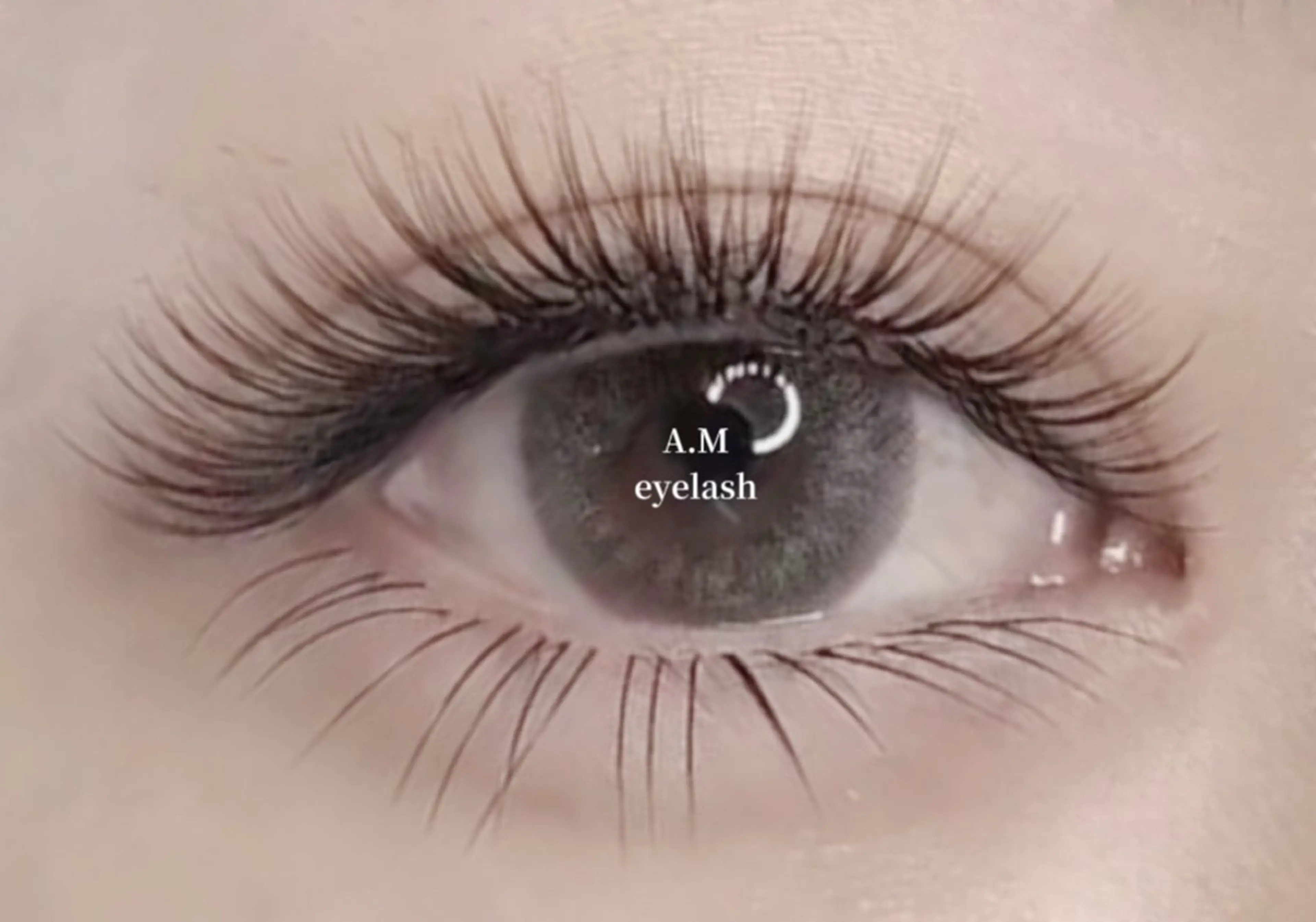 ☆ 5Dボリュームラッシュ   ふんわりor束感 500本/100束【最新LED+0円/口コミ投稿必須】の写真