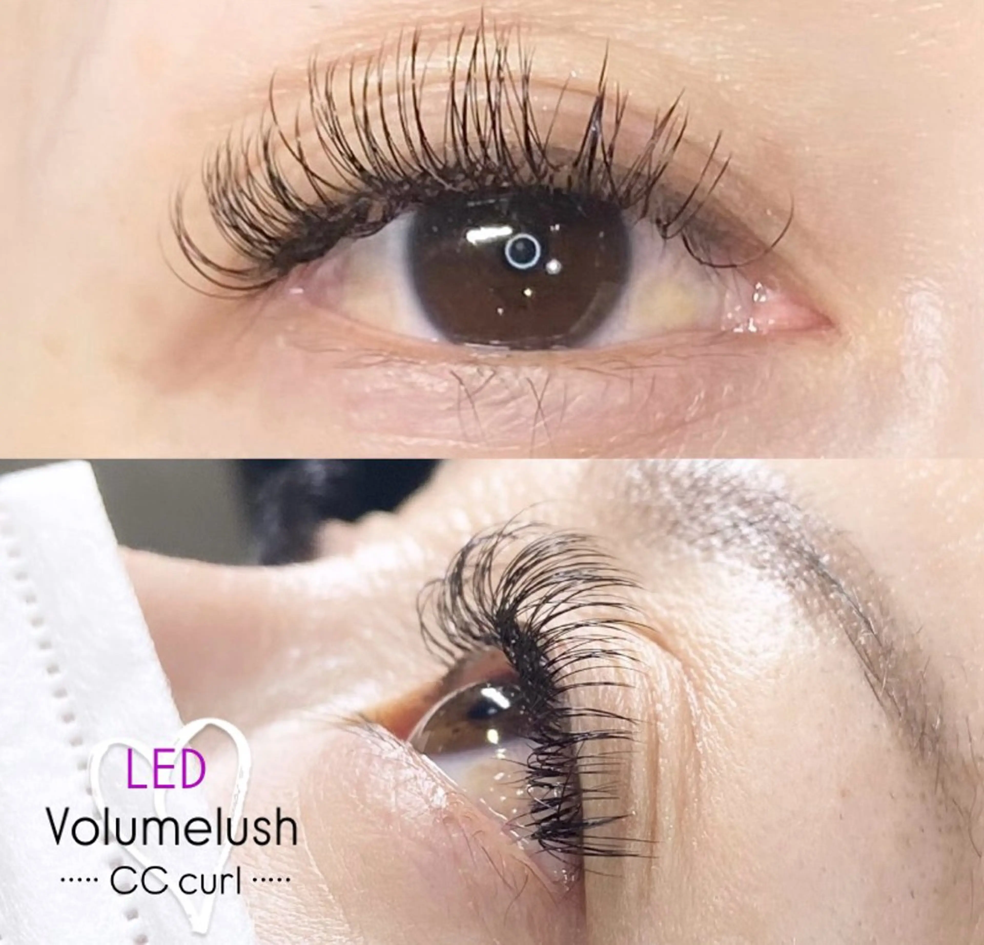 マツエク・マツパ LEDエクステ専門店 Fedis 京橋のマツエク・マツパデザイン