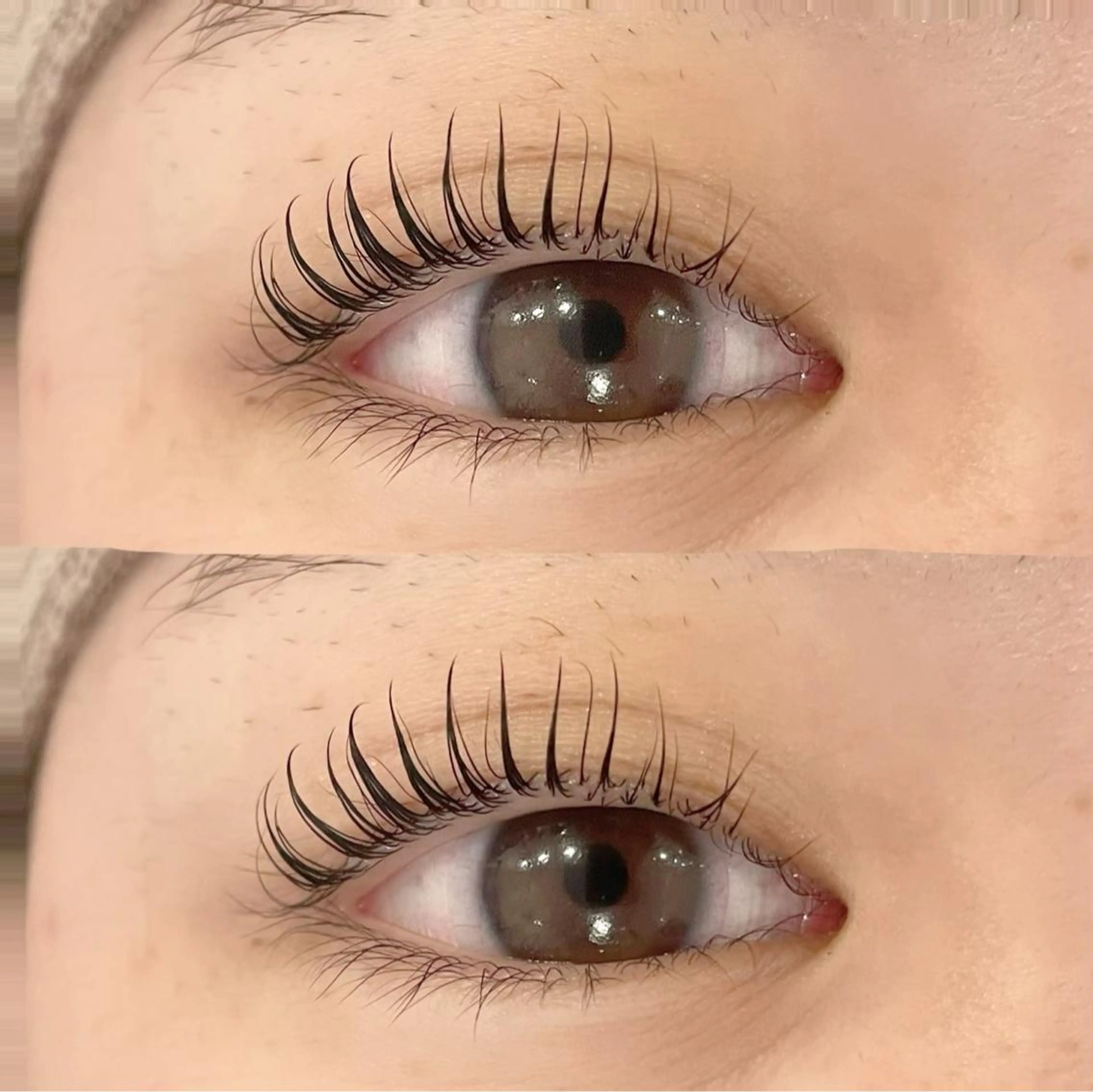 マツエク・マツパ まつげパーマ 🎀Sakura- blow京橋🎀のマツエク・マツパデザイン